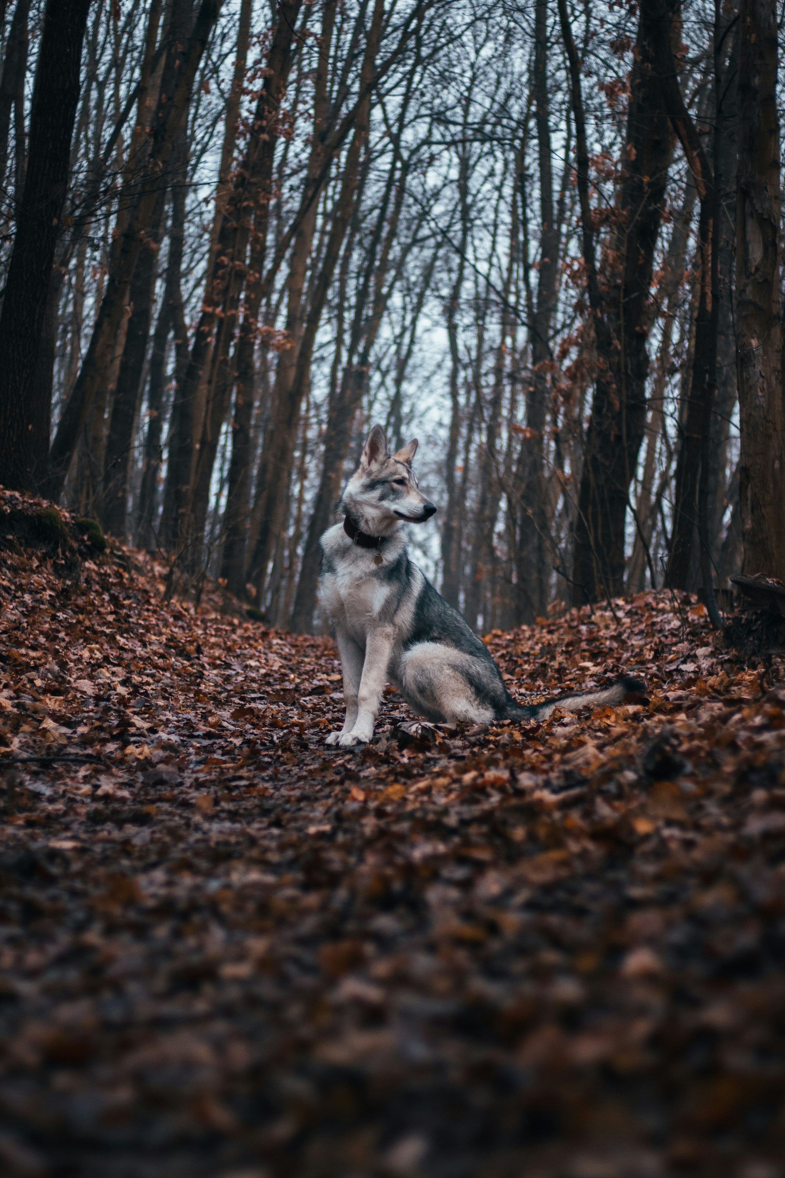 Photo by honzareznik