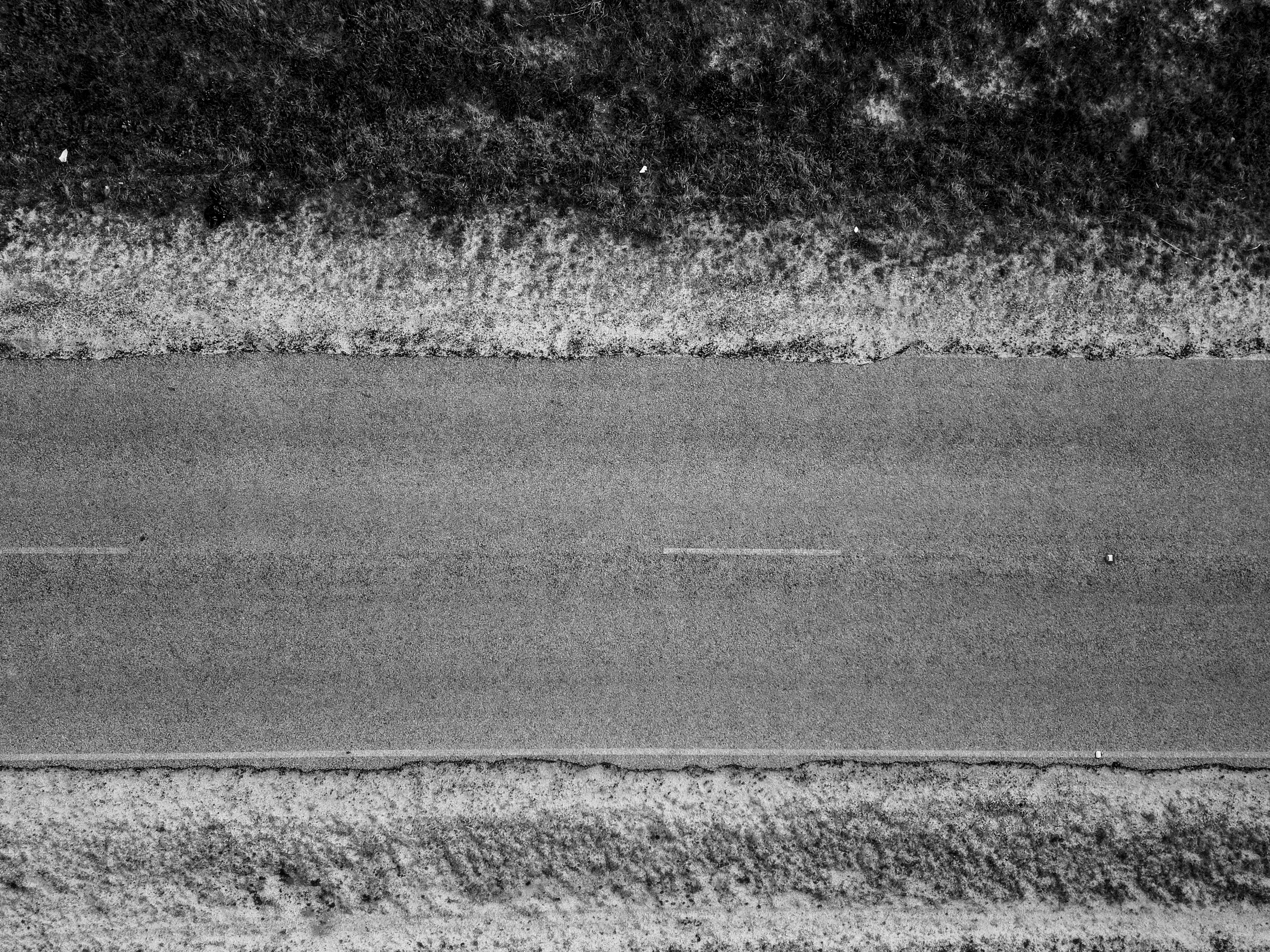 a road with a field of flowers