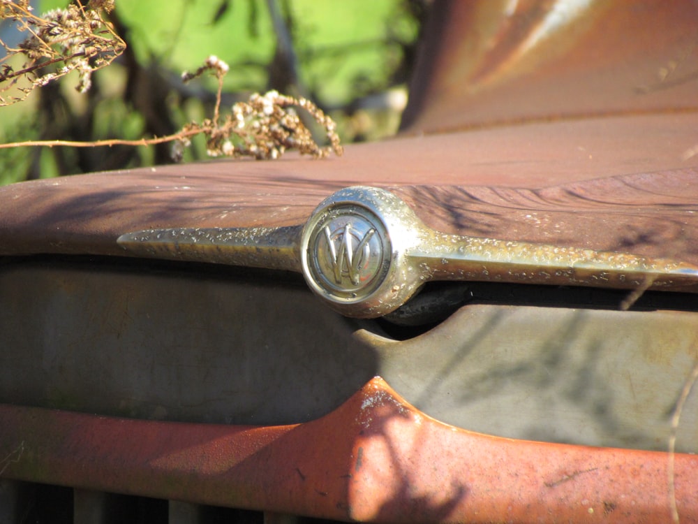 a snail on a piece of wood