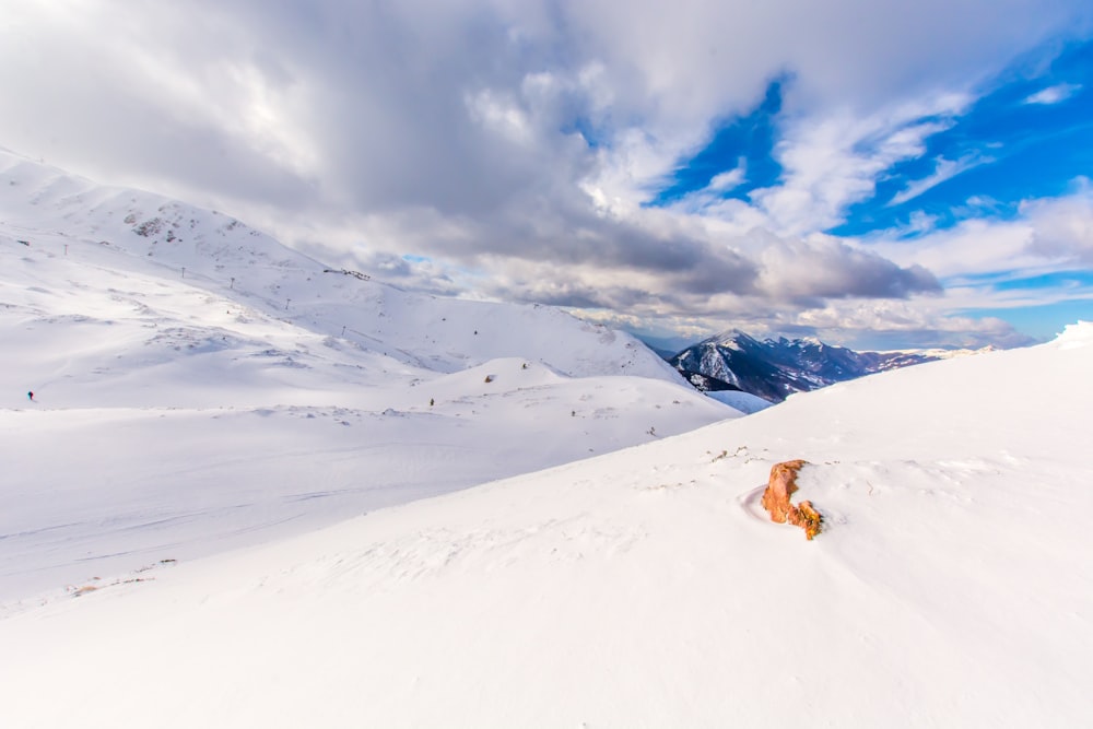 a dog running on a snowy mountain