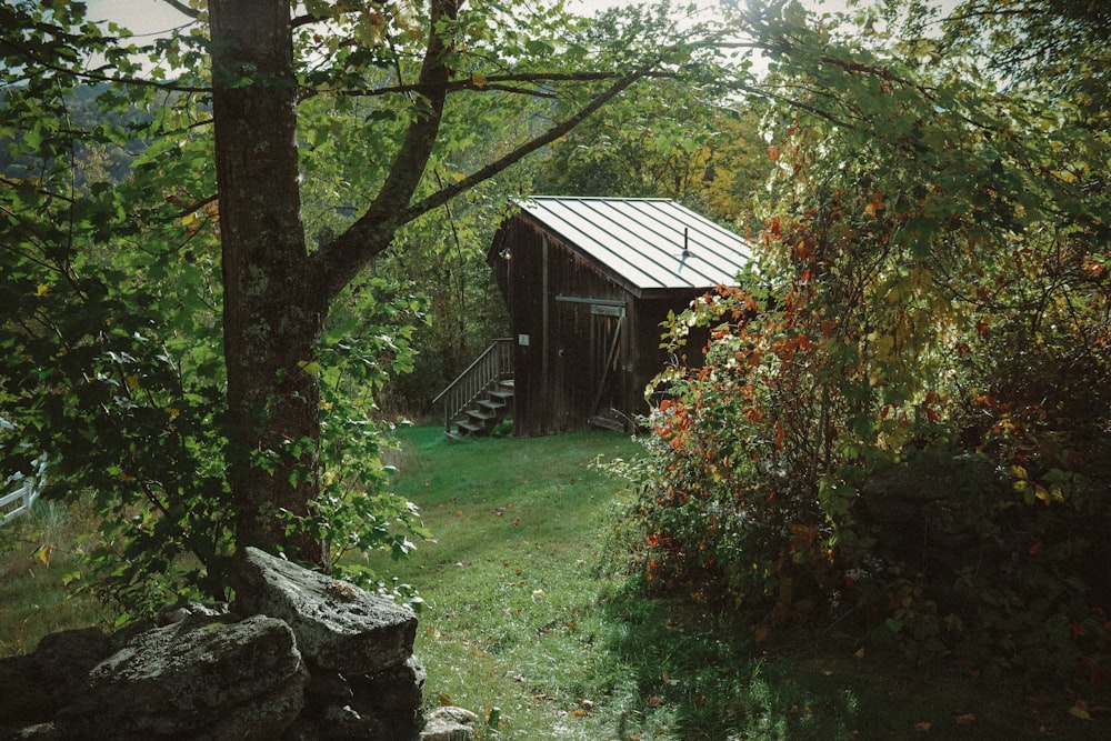a small shed in a wooded area