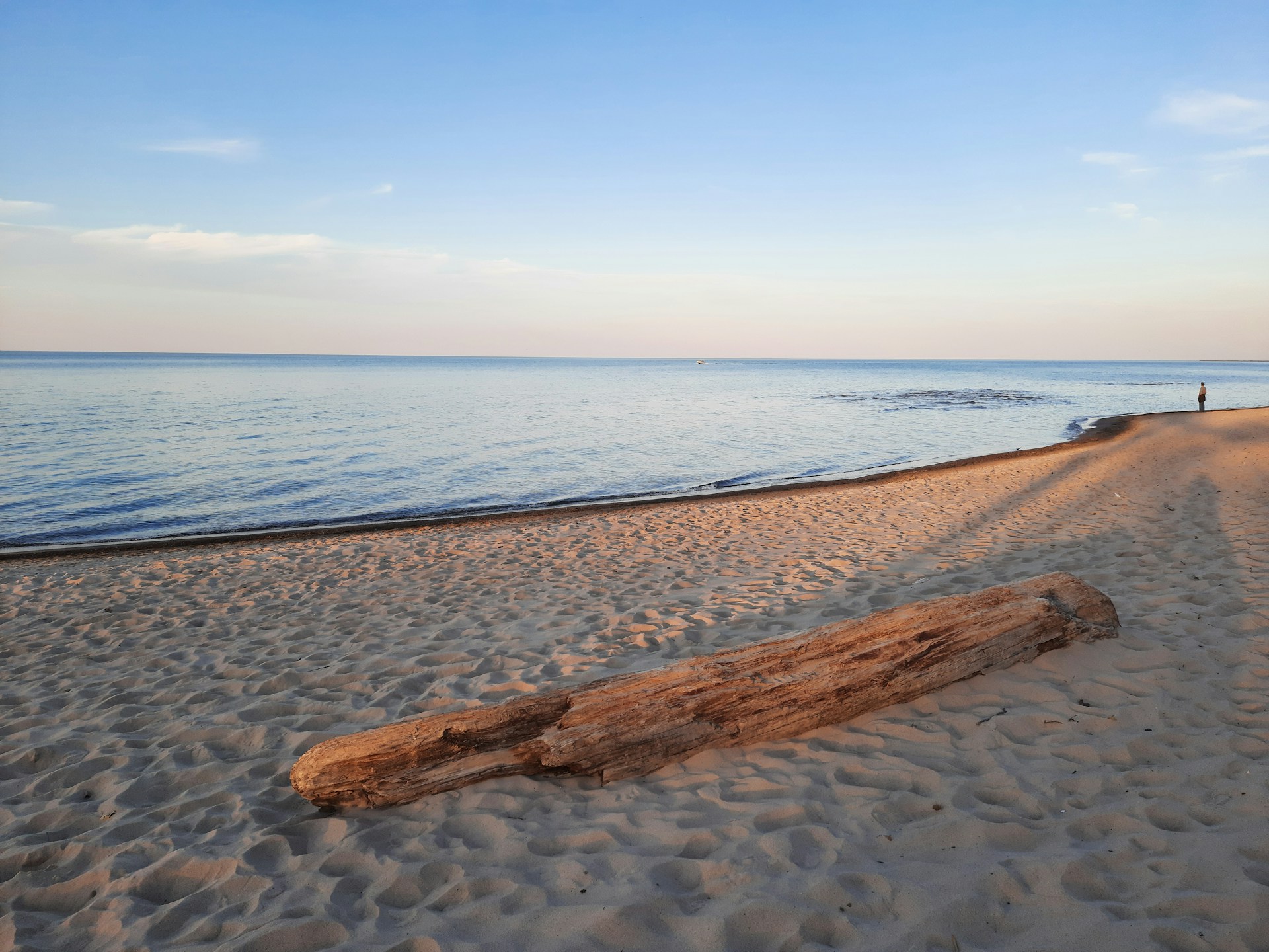 a log on a beach