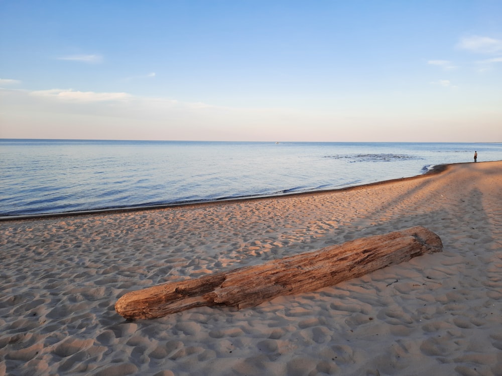 a log on a beach