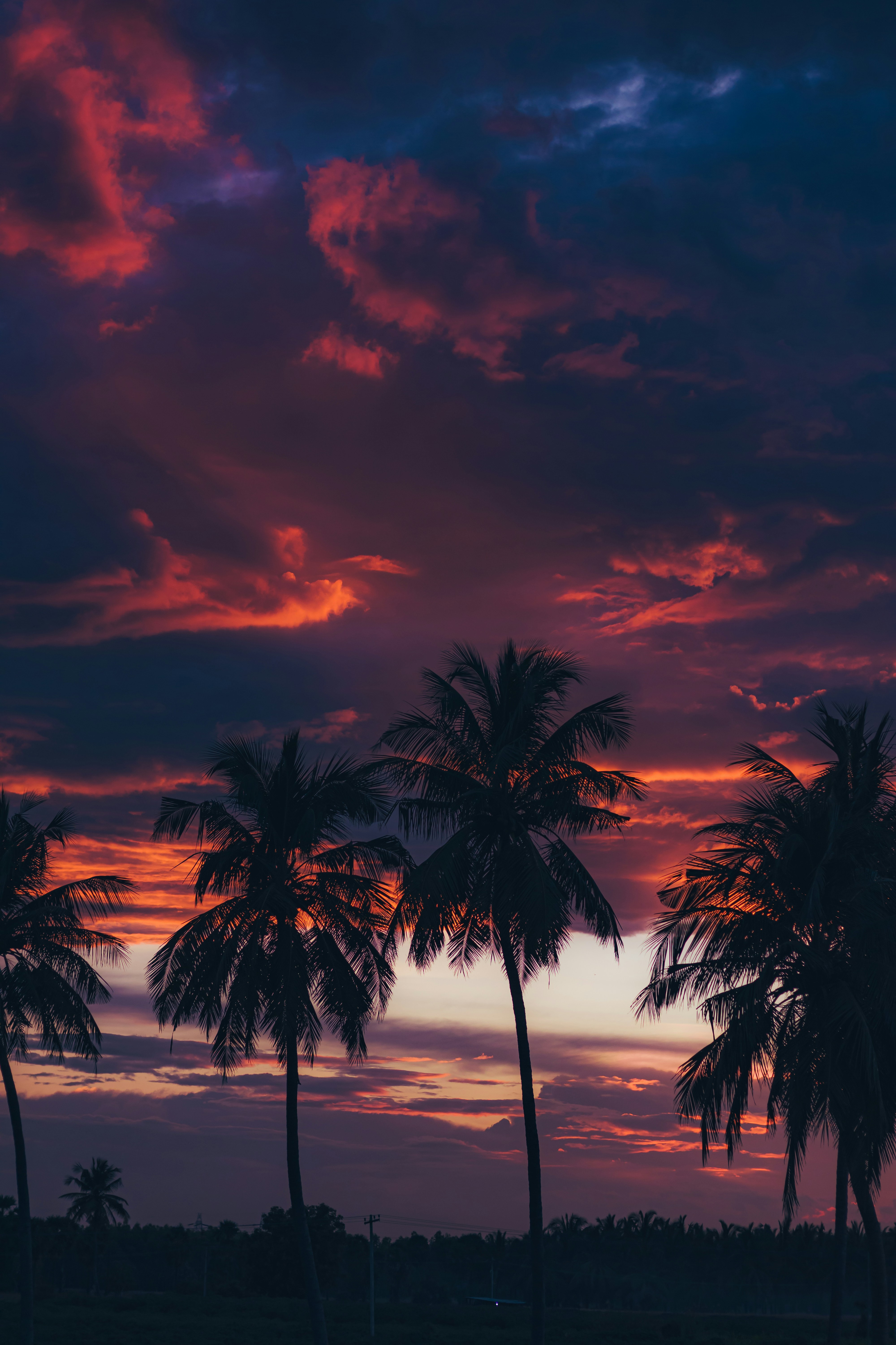 Photo by dhilipantony