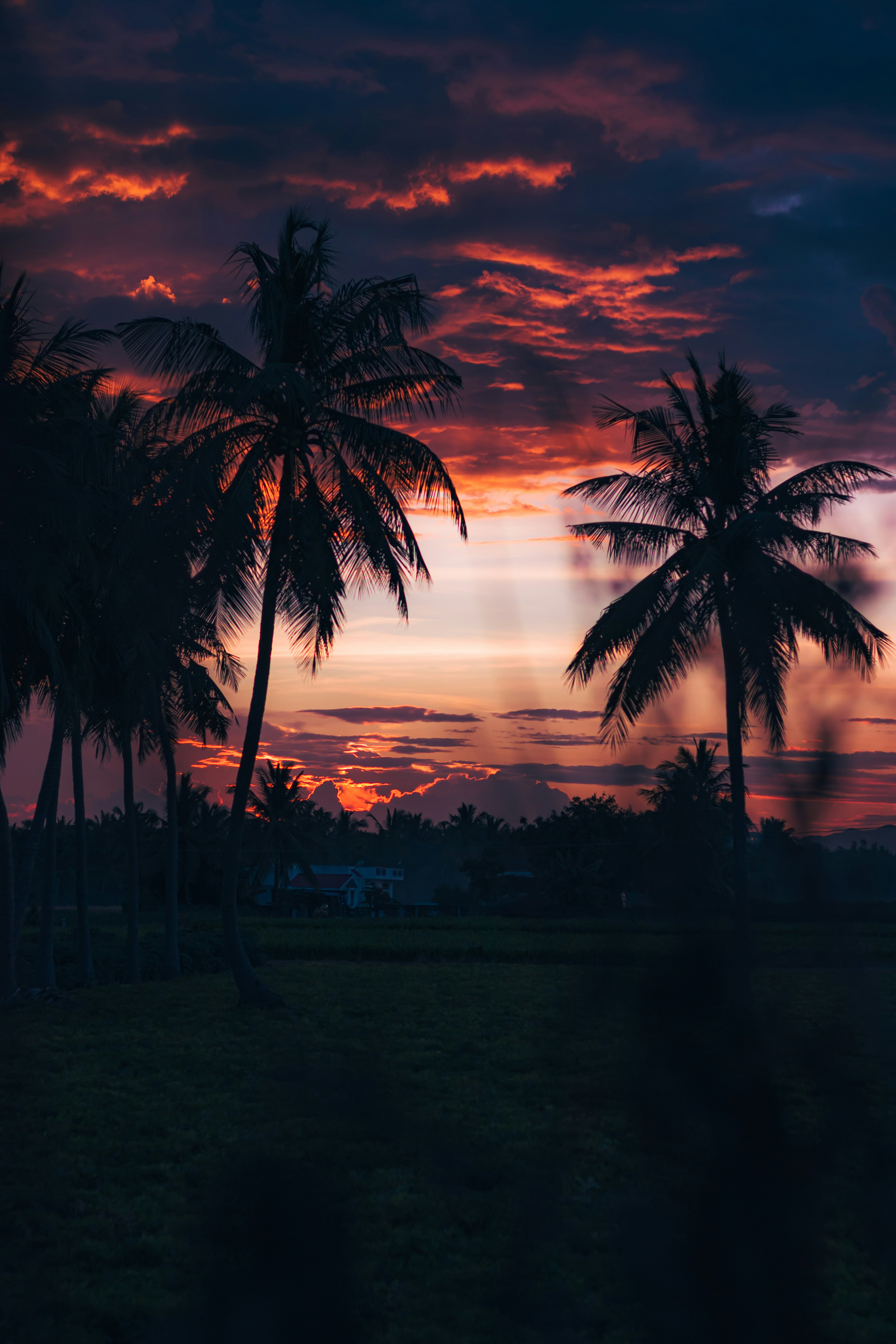 Photo by dhilipantony