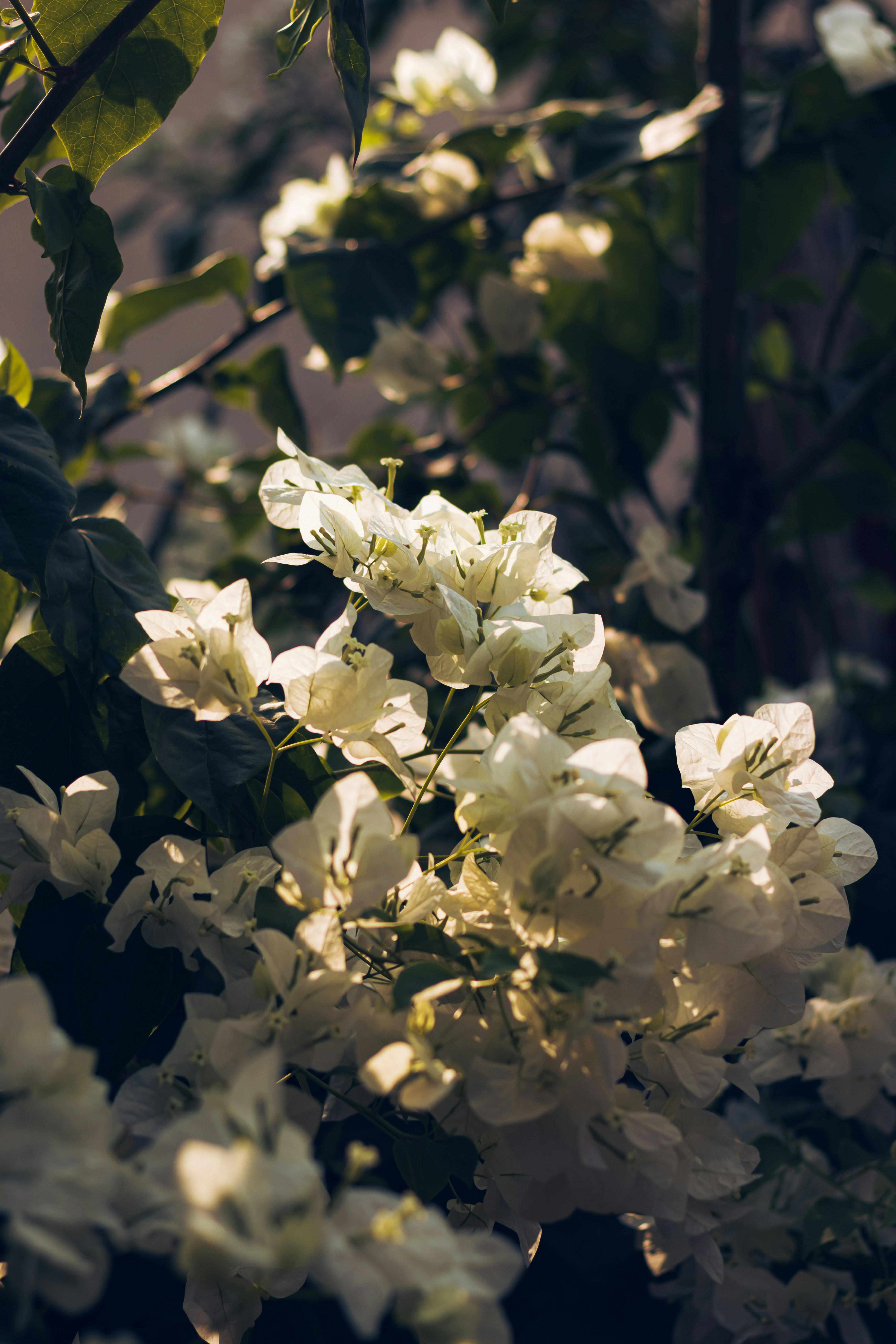 Photo by dhilipantony