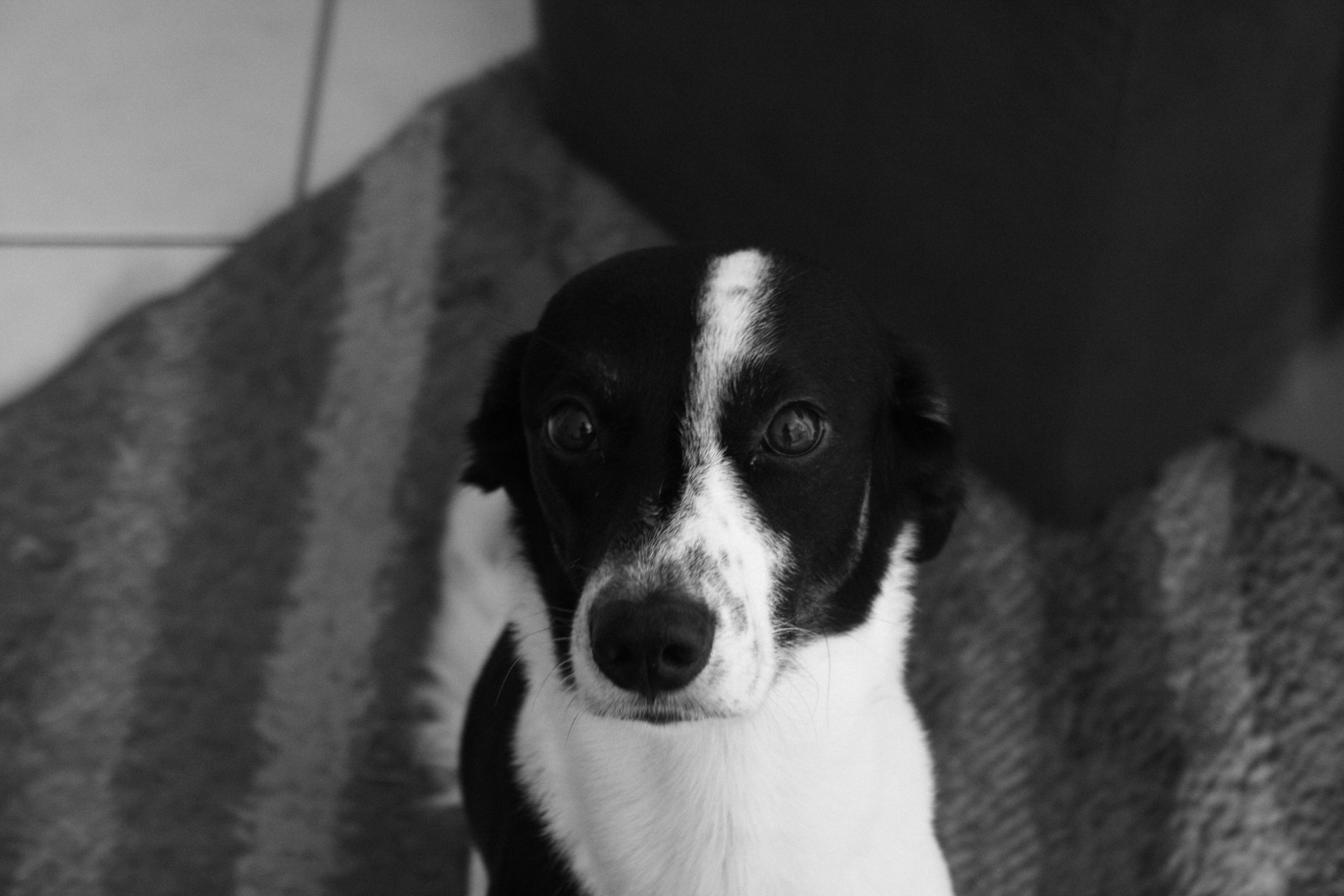 Photo by brennolouidy