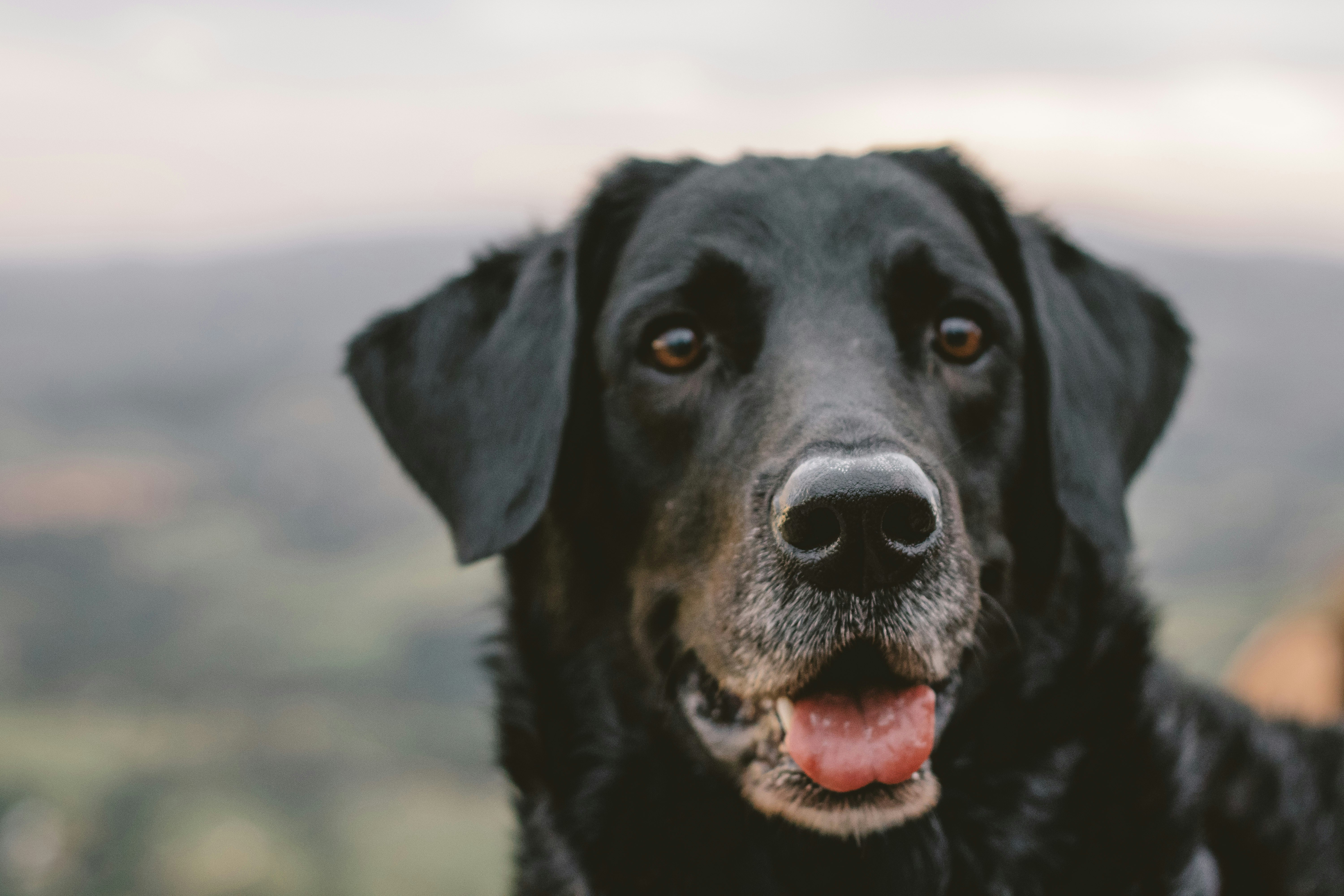 Photo by dayronrochasantos