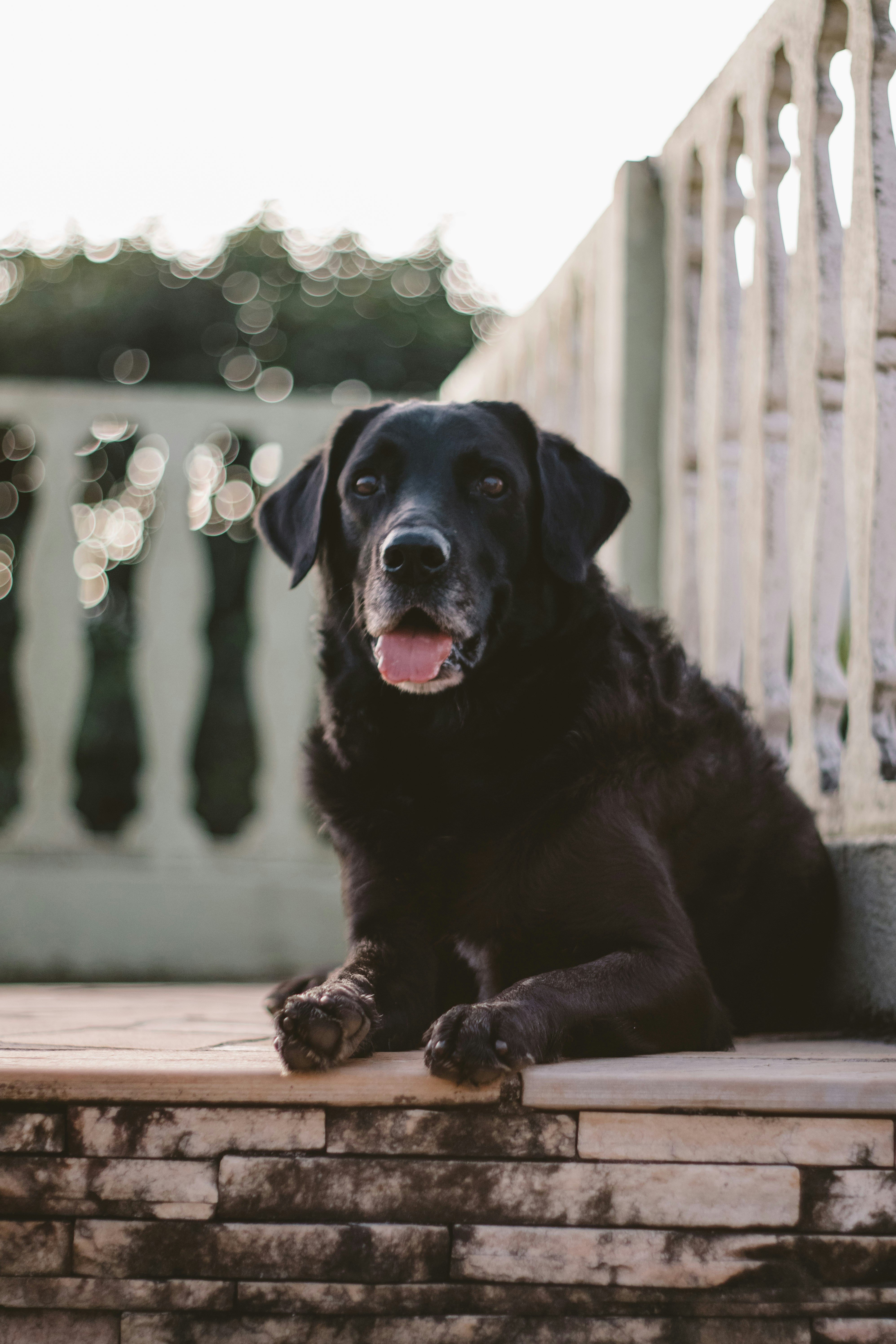 Photo by dayronrochasantos