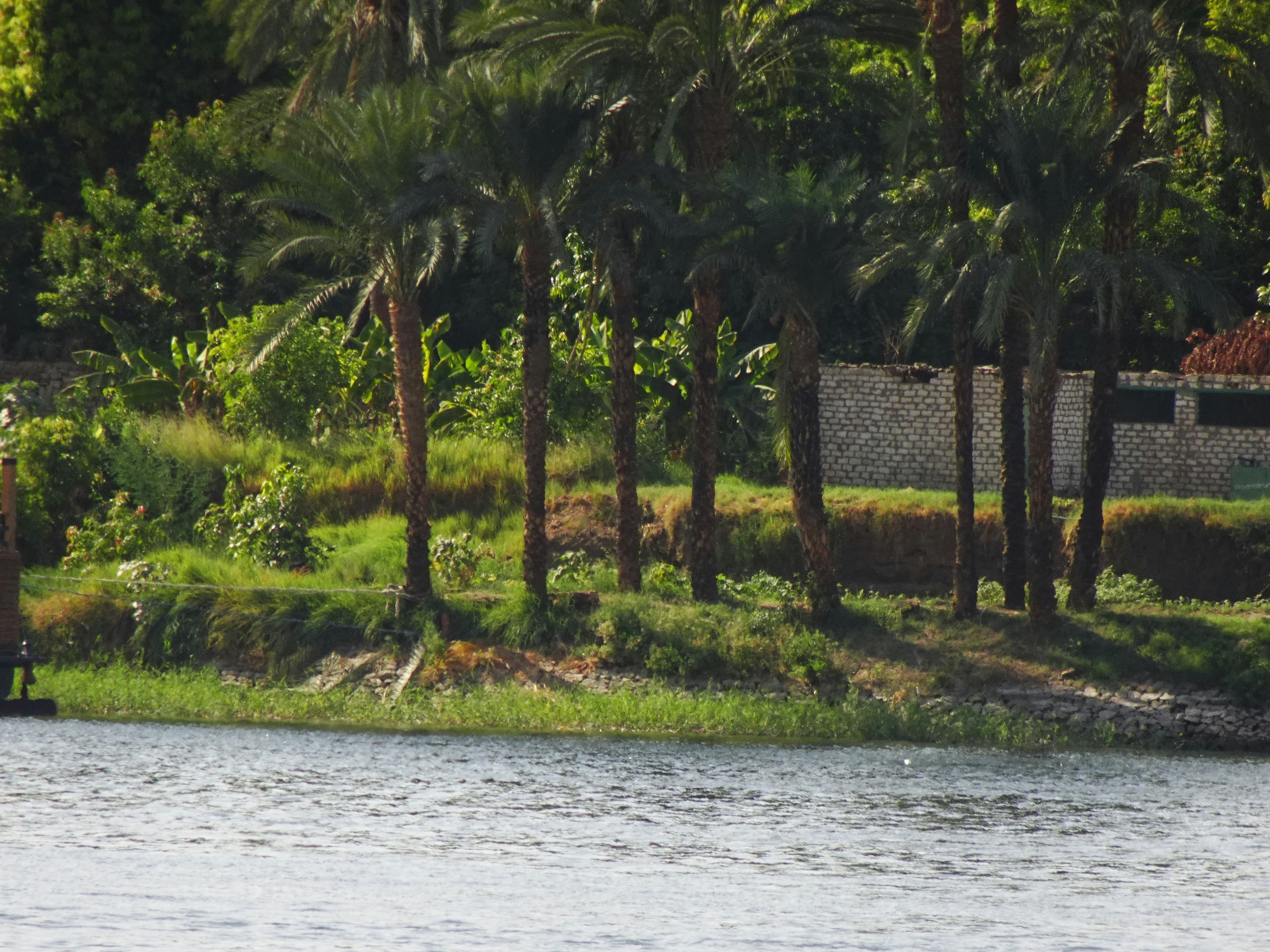 A body of water with trees around it