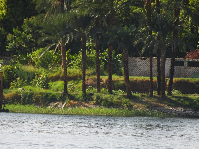 Eco Friendly Resorts