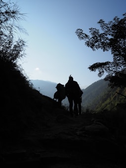 Silhouettes of two hikers walking on a mountain trail surrounded by dense foliage, with a clear sky and distant mountain ranges in the background. The scene is framed by trees and brush on either side, creating a sense of depth and adventure.