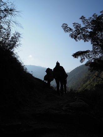 Silhouettes of two hikers walking on a mountain trail surrounded by dense foliage, with a clear sky and distant mountain ranges in the background. The scene is framed by trees and brush on either side, creating a sense of depth and adventure.