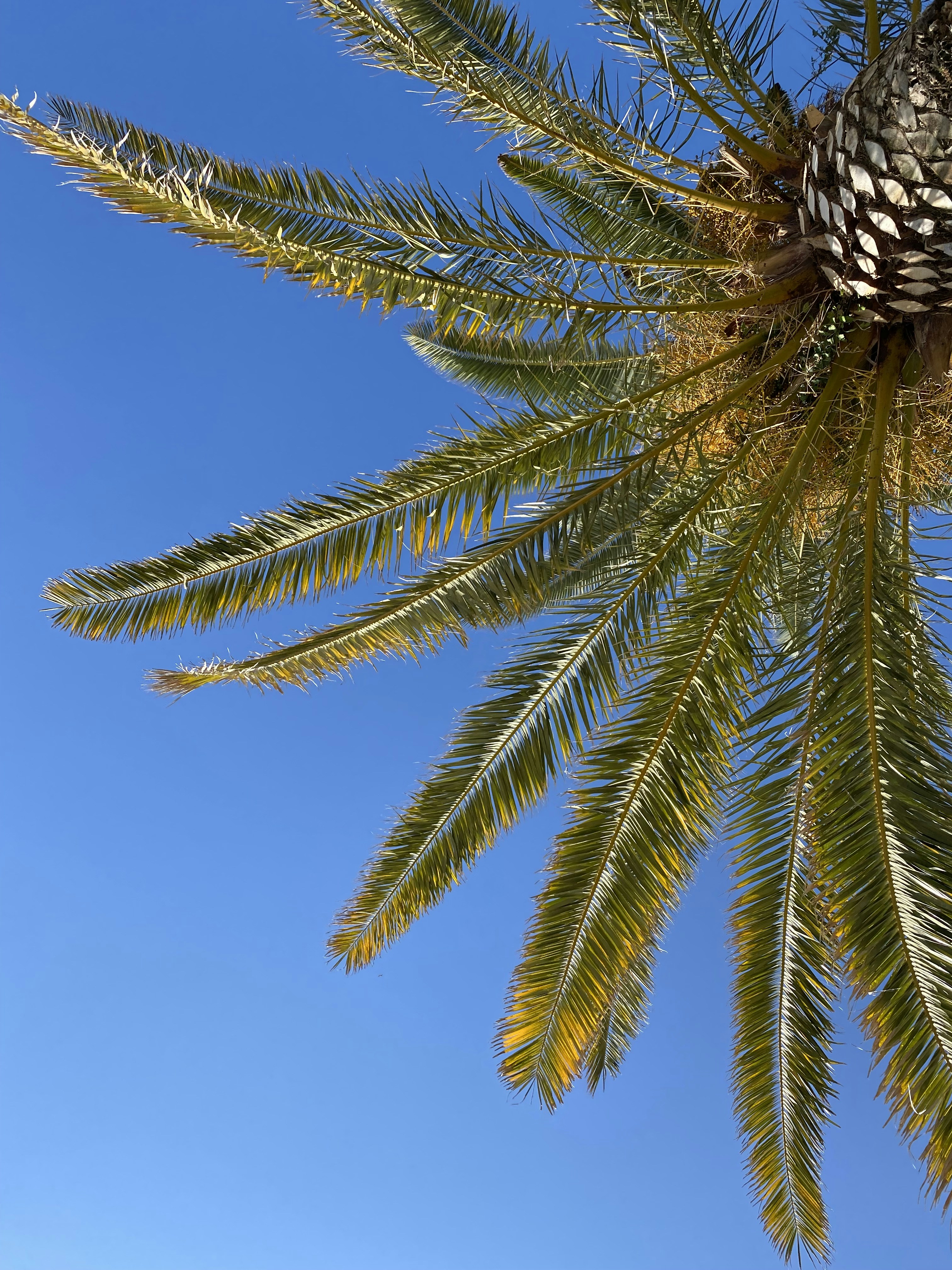 Photo by chloechristinemarketing