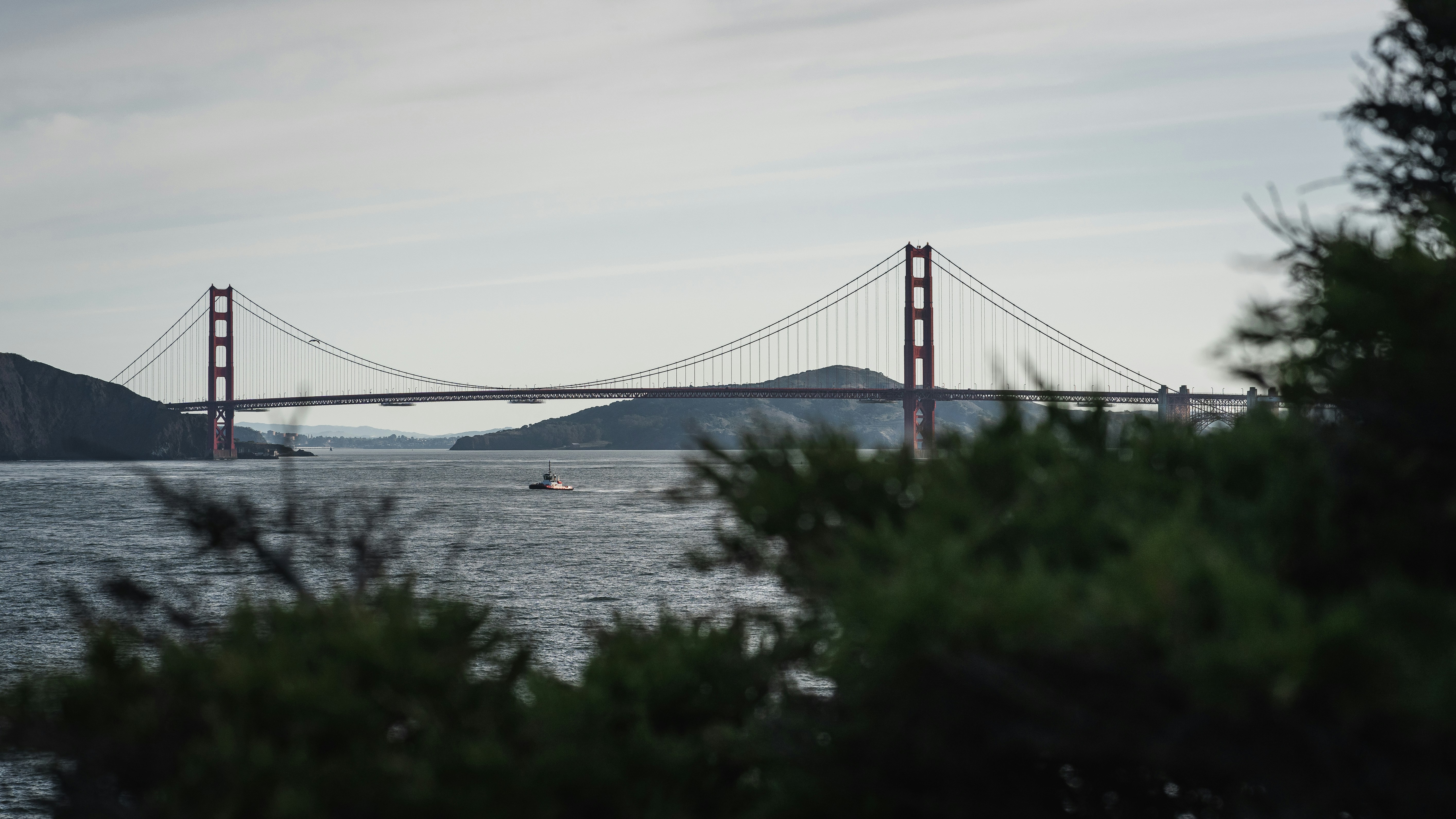 Photo by kalaniparker