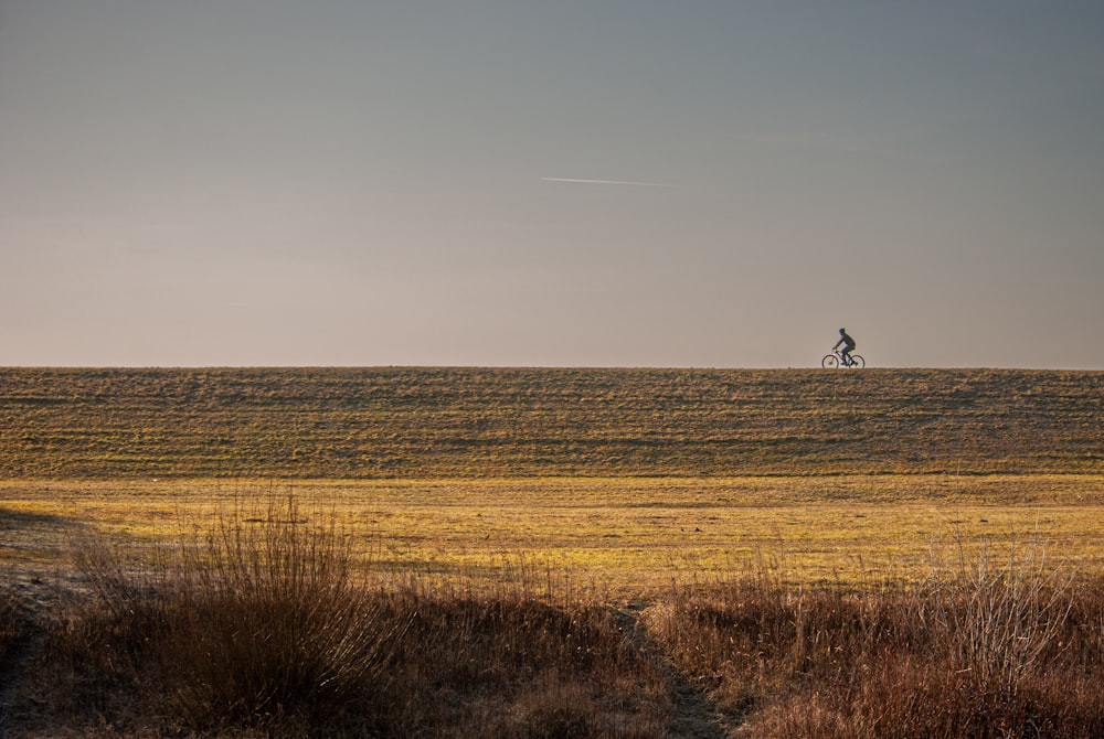 a person riding a bicycle in a field