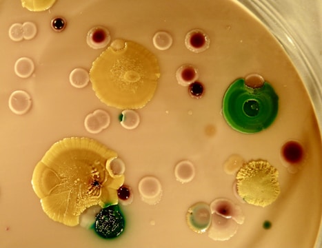 Circular colonies of various sizes in shades of yellow, green, and red are scattered across a beige surface. The colonies have diverse textures, with some appearing smooth while others are wrinkled or segmented. A circular, plate-like structure frames the image.