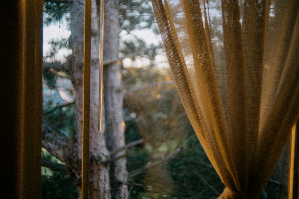 a window with curtains