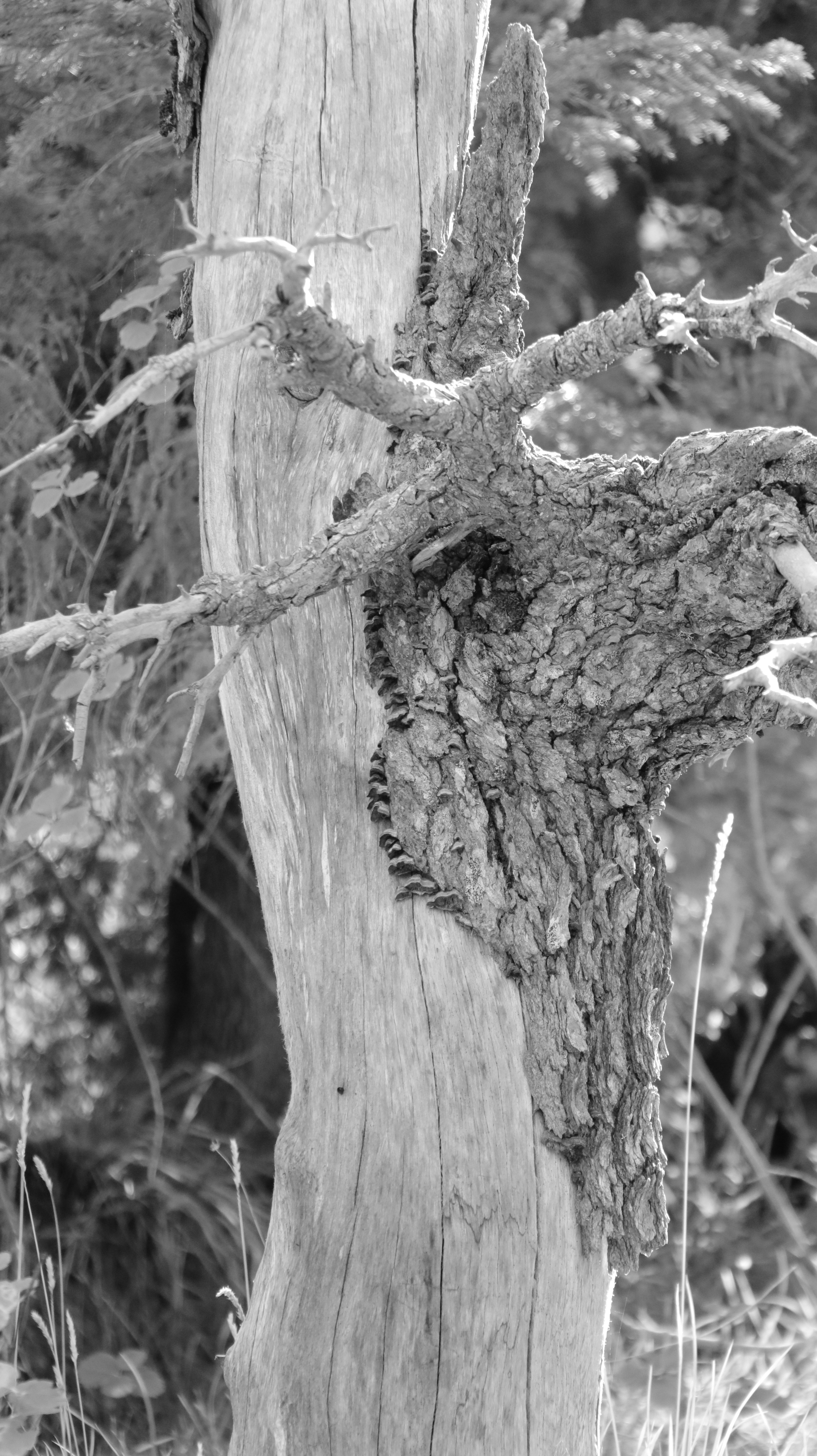 Photo by jack_harbieh