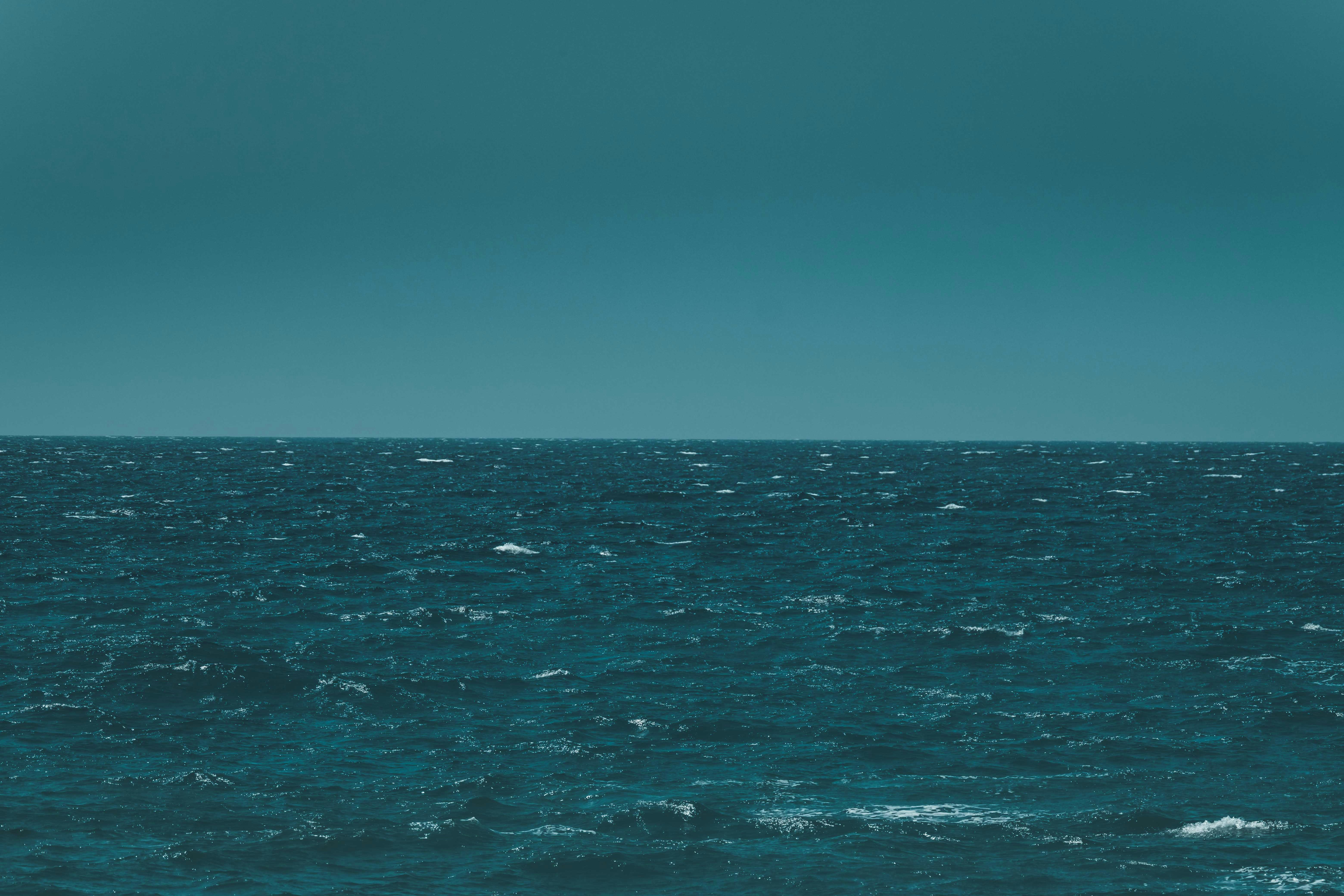 Photo by francesco_ungaro