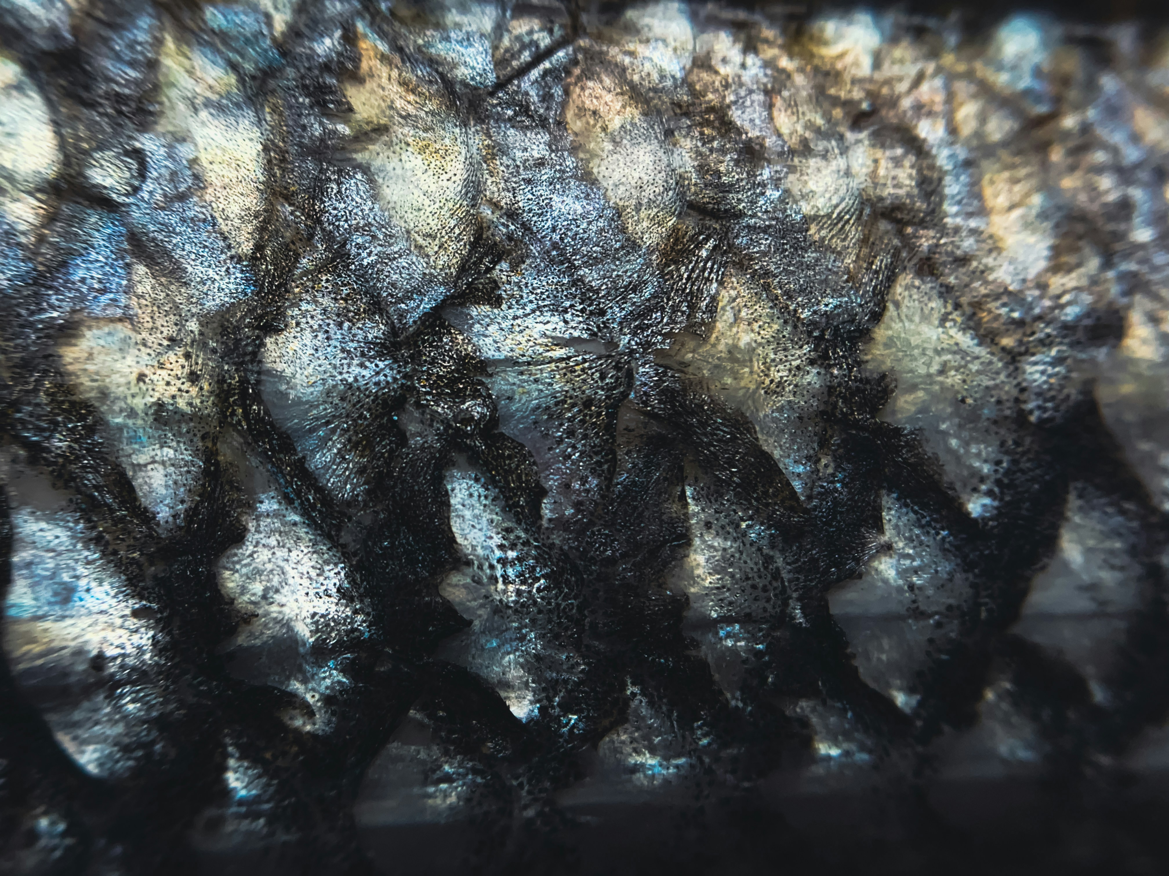 From Smog-Choked Skies to Cleaner Air: A Century of Hair Samples Tells a Powerful Story