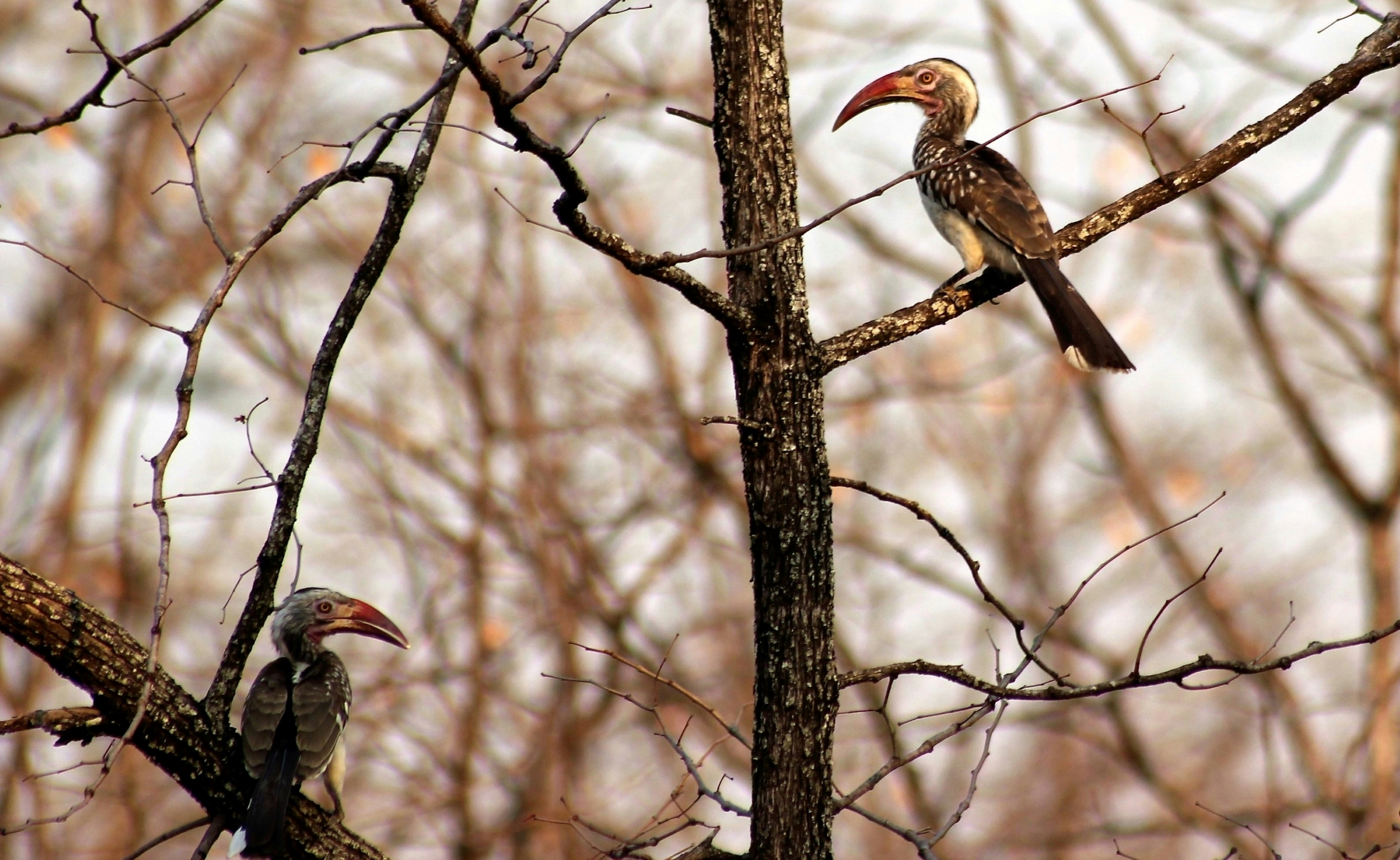 Photo by craigmanners_com