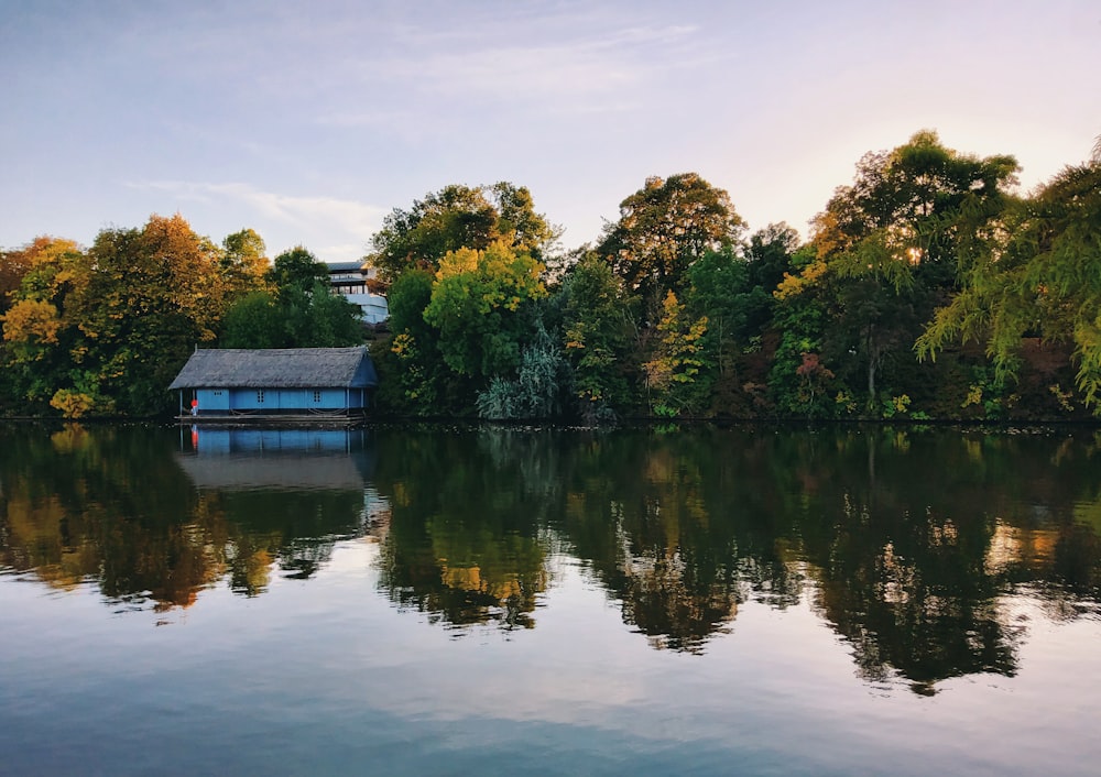 a body of water with trees around it