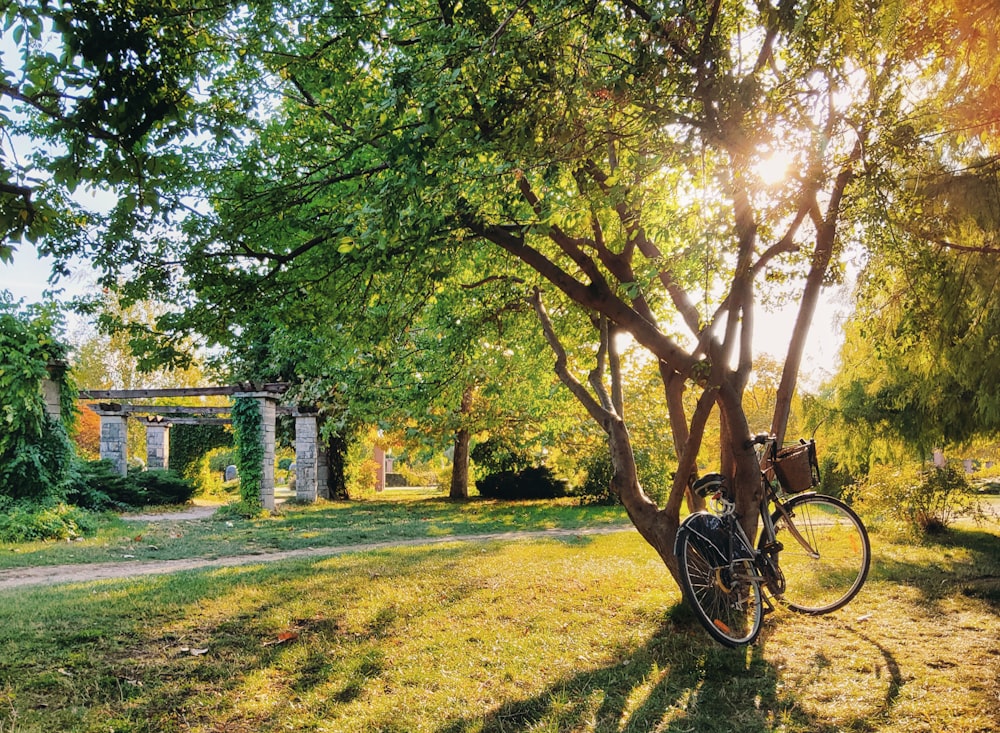 a bicycle parked in a park