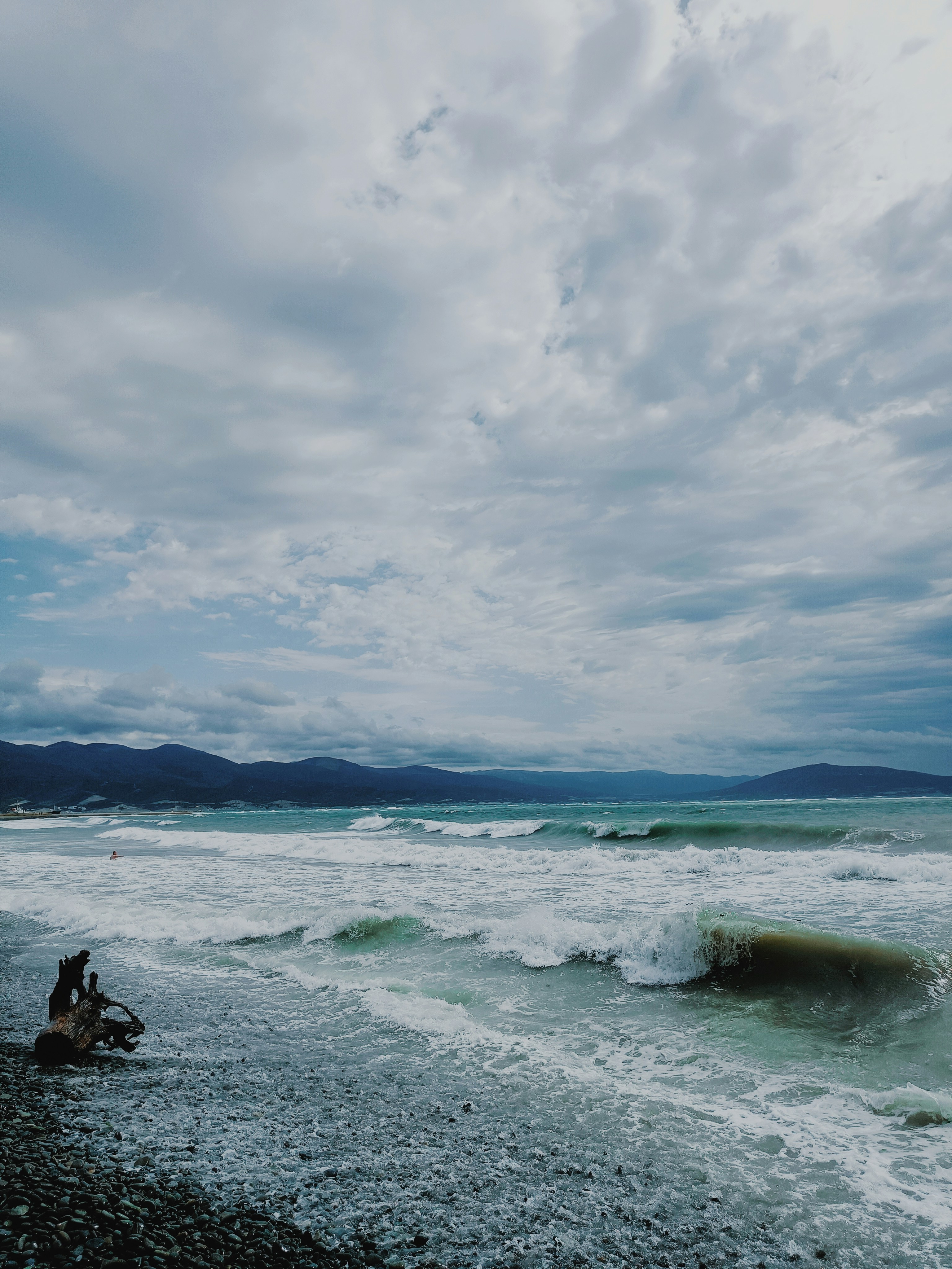 Your Local DMV Is Actually a Policy Laboratory