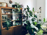 A room corner featuring a large cabinet filled with books and decorative items, surrounded by lush, green houseplants. The cabinet is made of wood and has glass doors. Various plants, including monstera and other leafy greens, create a dense, vibrant vegetation against the backdrop. Some decorative elements like hanging paper ornaments add a playful touch to the corner.