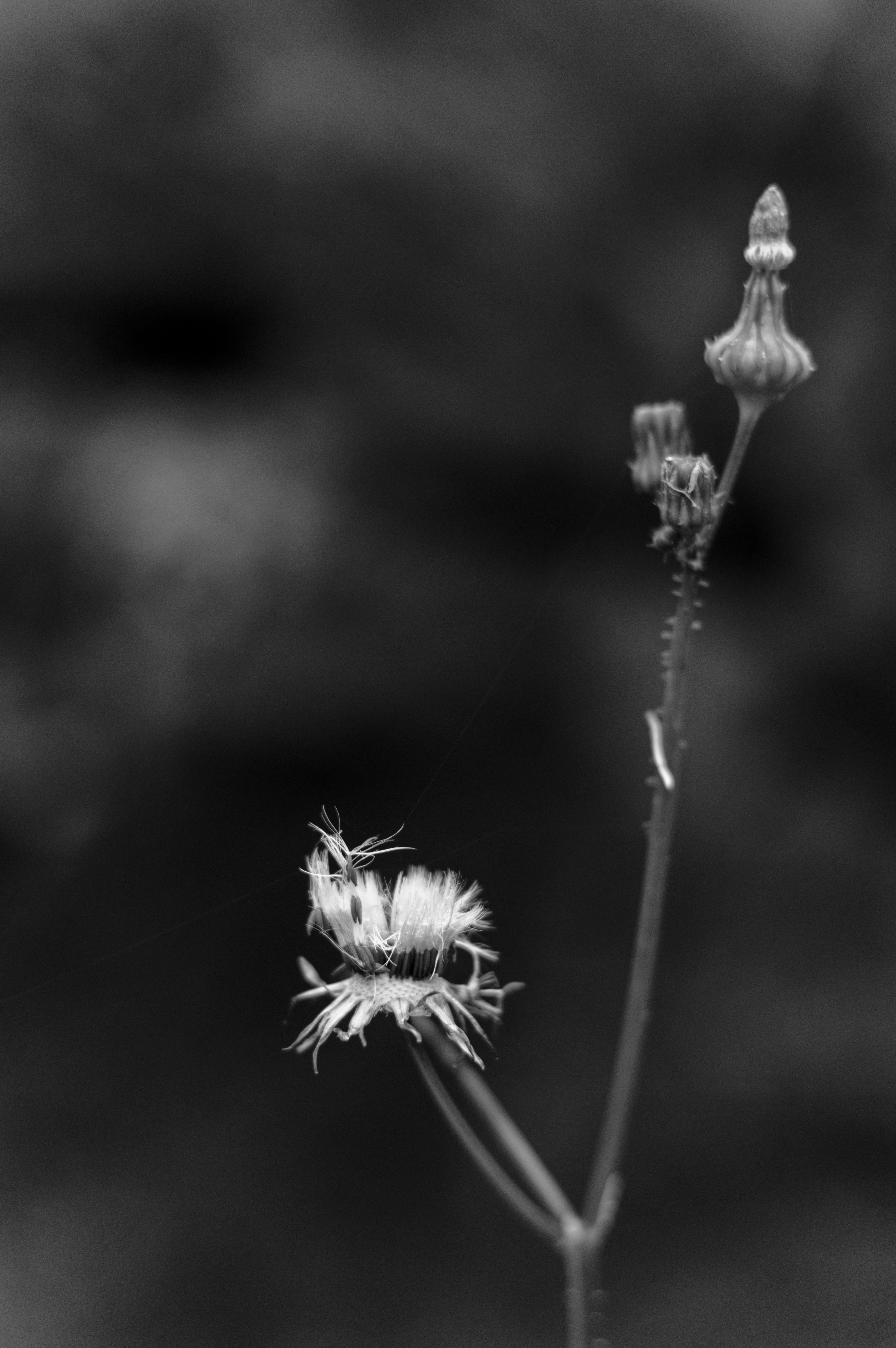 Photo by einthomas