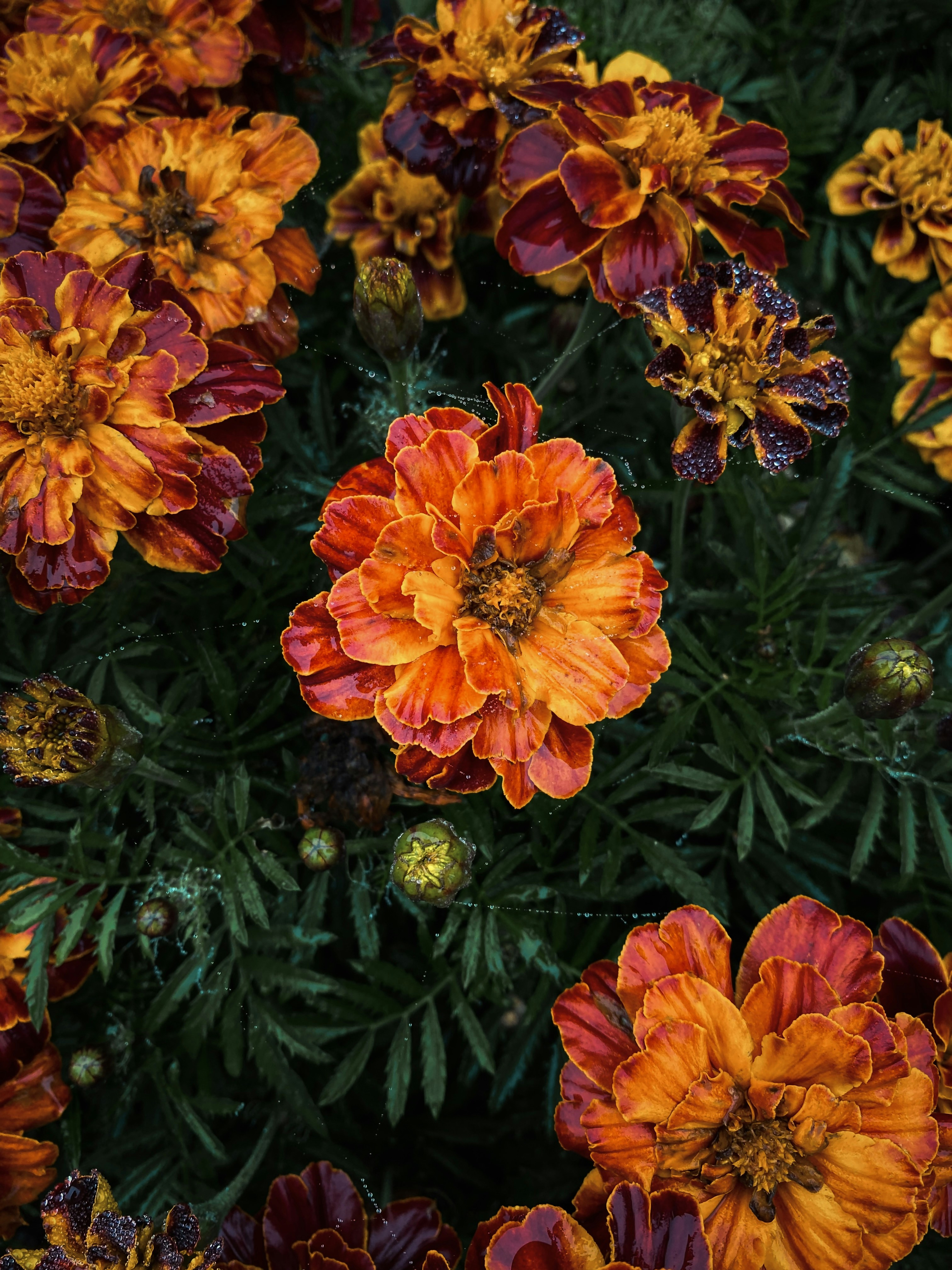 Photo by eugene_golovesov