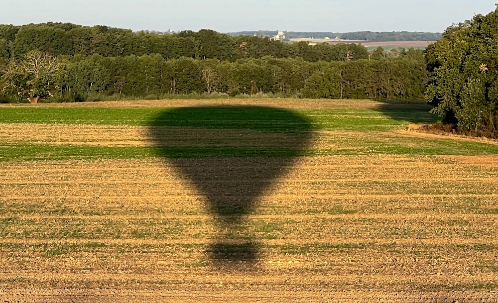 uma sombra de uma pessoa em um campo de grama com árvores no fundo