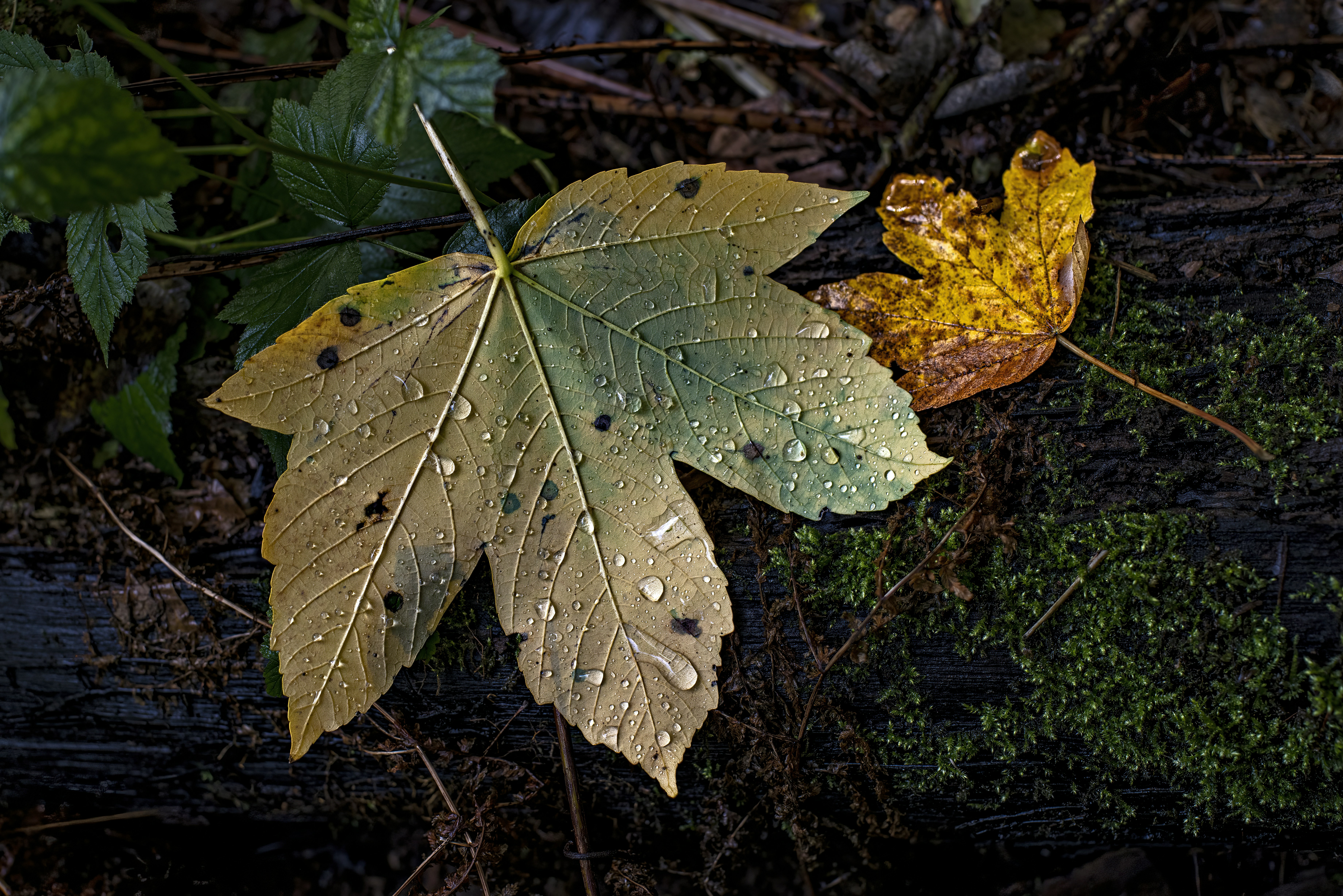 Photo by switch_dtp_fotografie