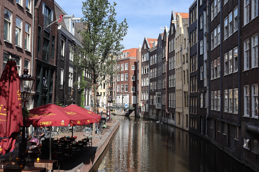 a canal with buildings and umbrellas with Bruges in the background