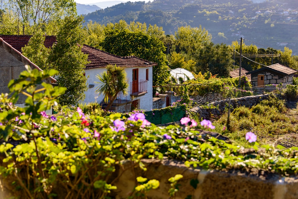 a garden with a house in the background