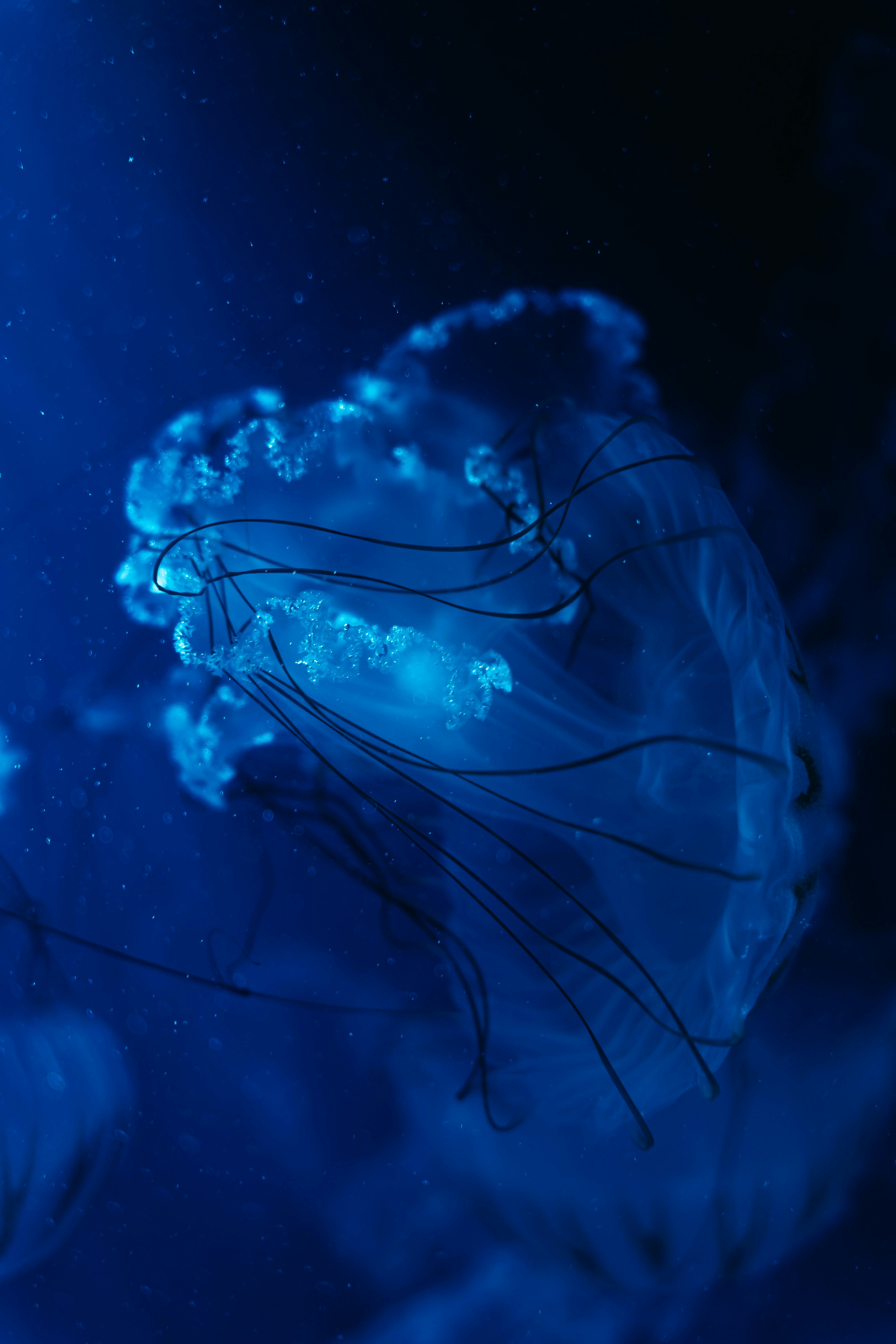 Photo by dermanuskript