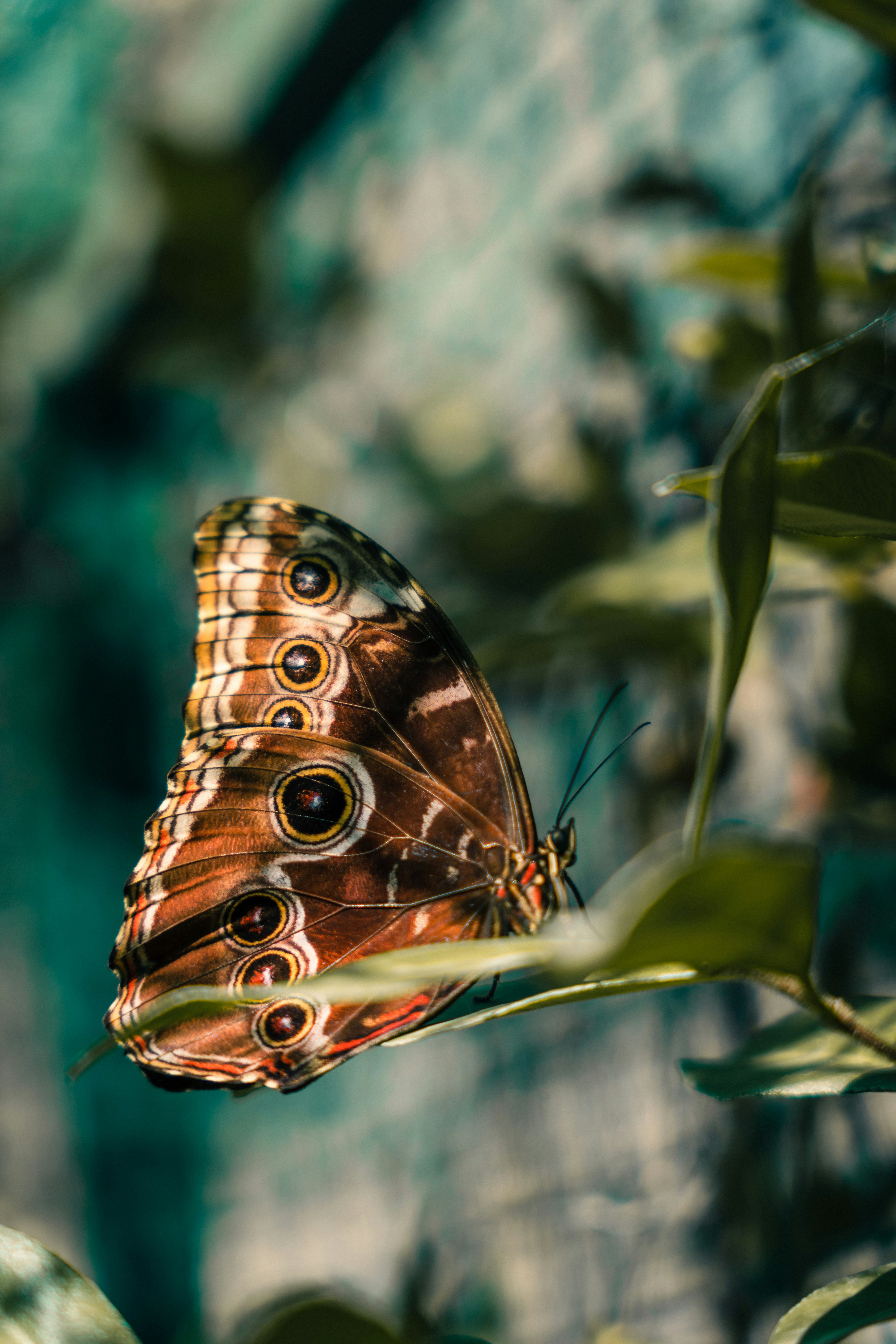 Photo by dermanuskript