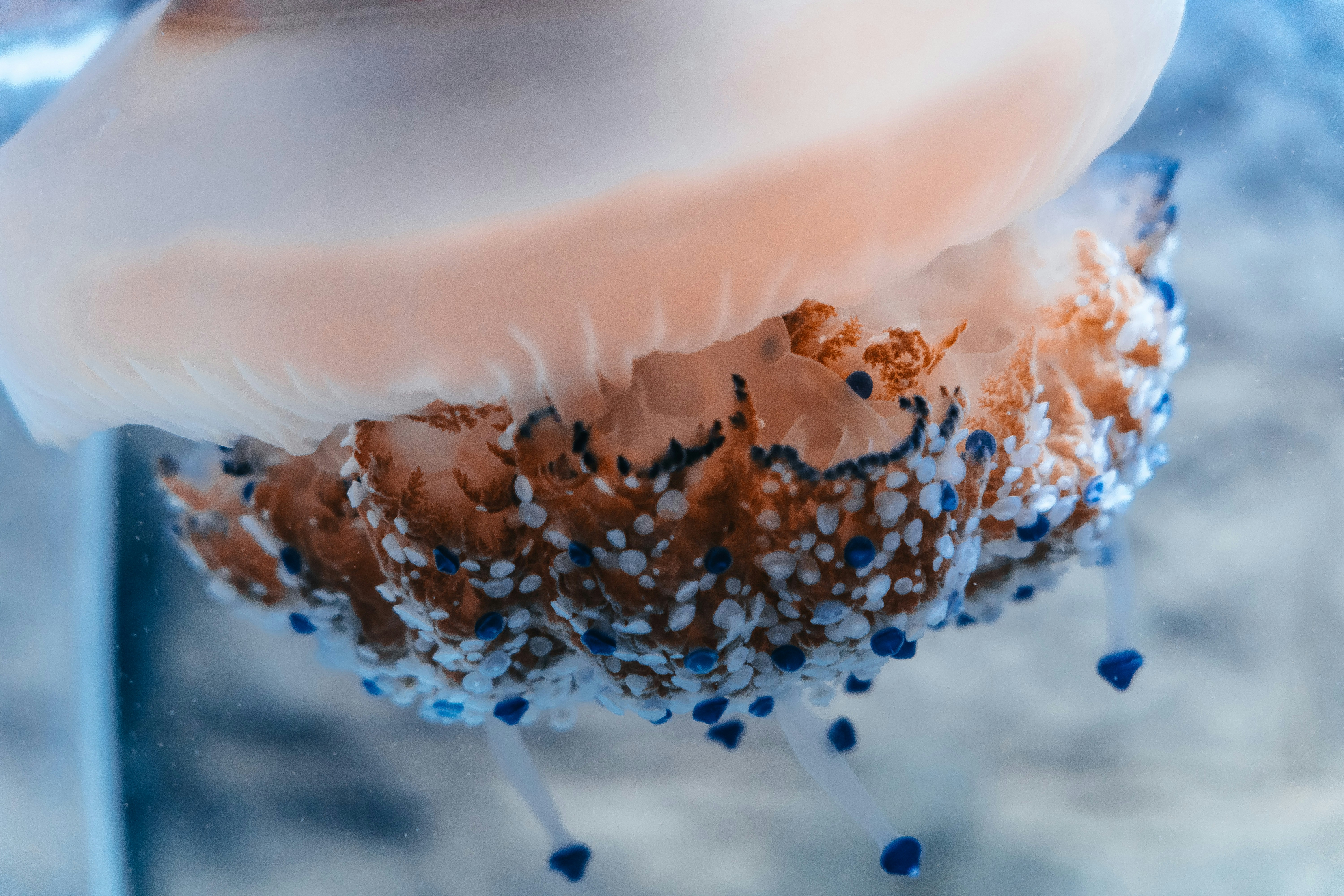 Photo by dermanuskript