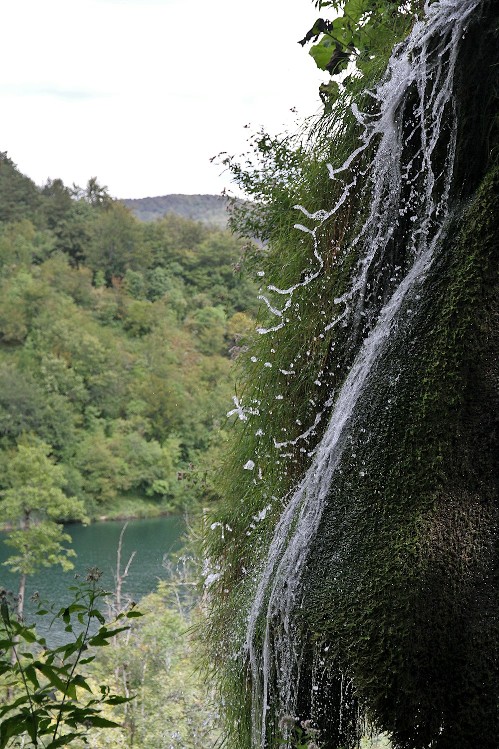 a waterfall in a forest