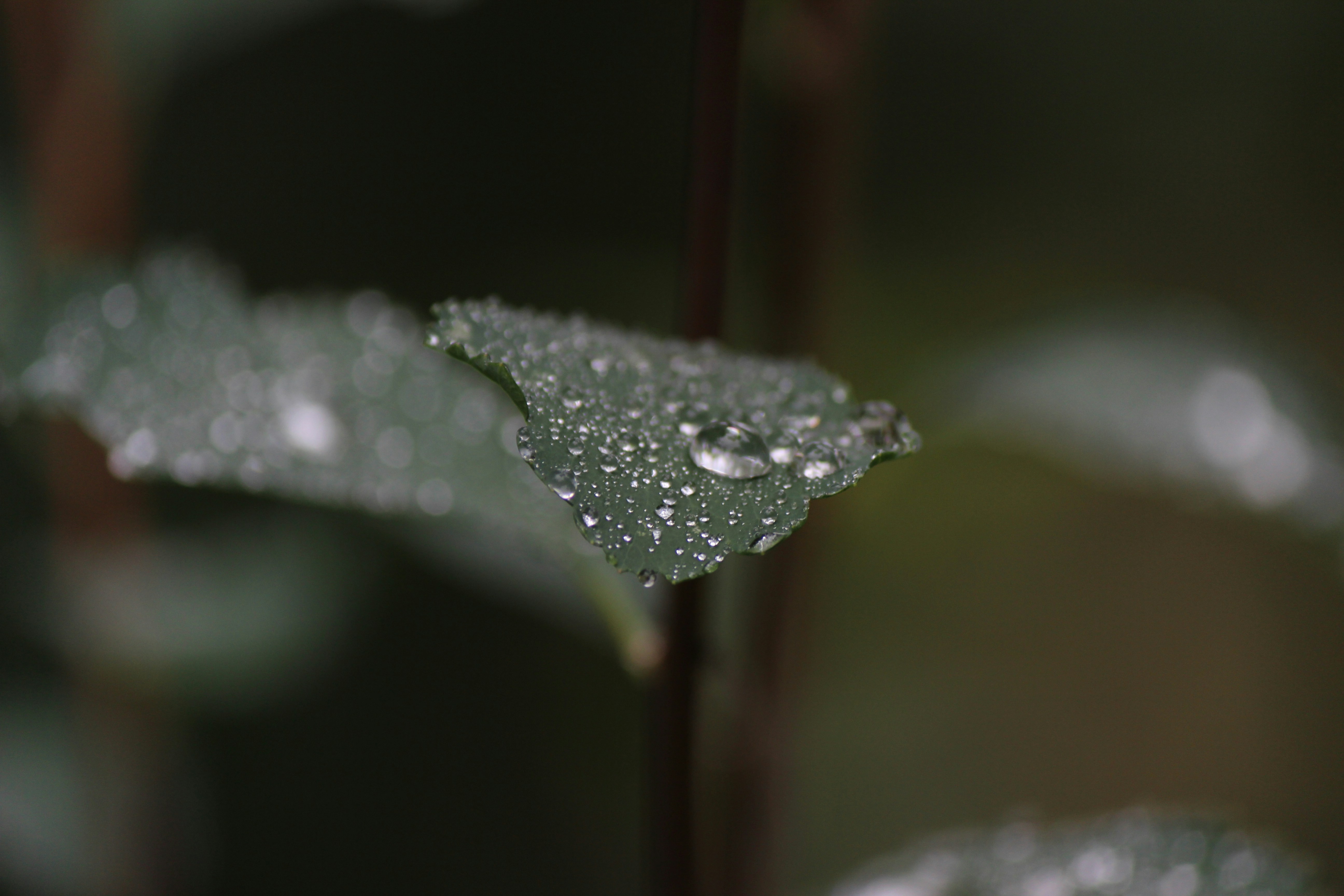 Photo by big_head_hunter