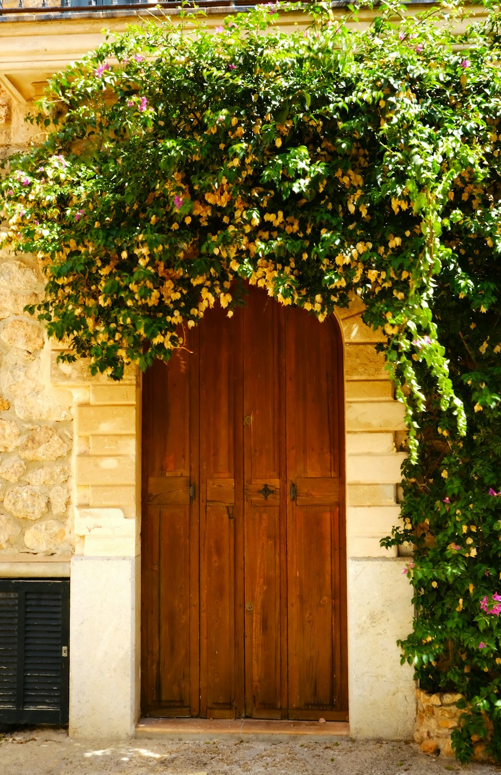 a tree growing over a door