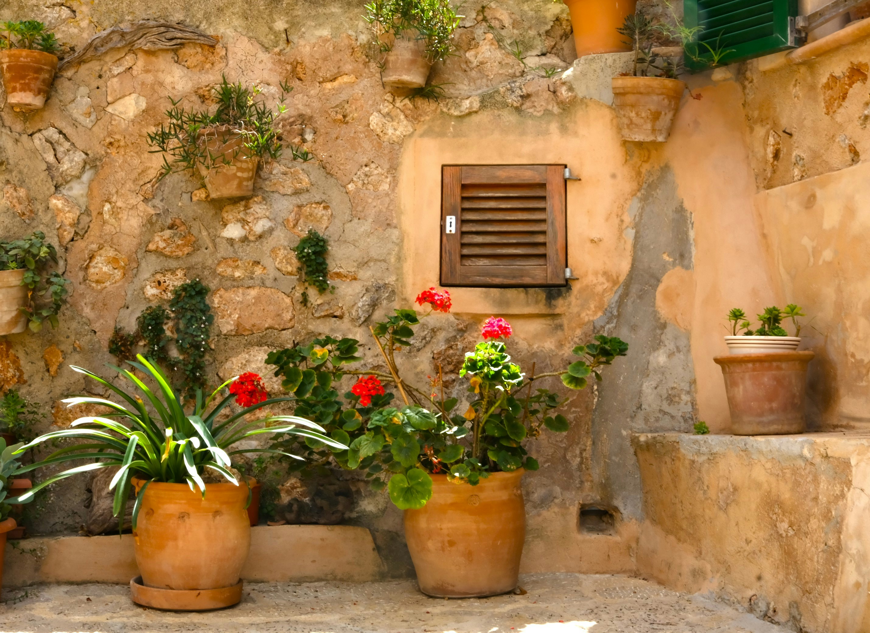 a group of potted plants outside a building, 