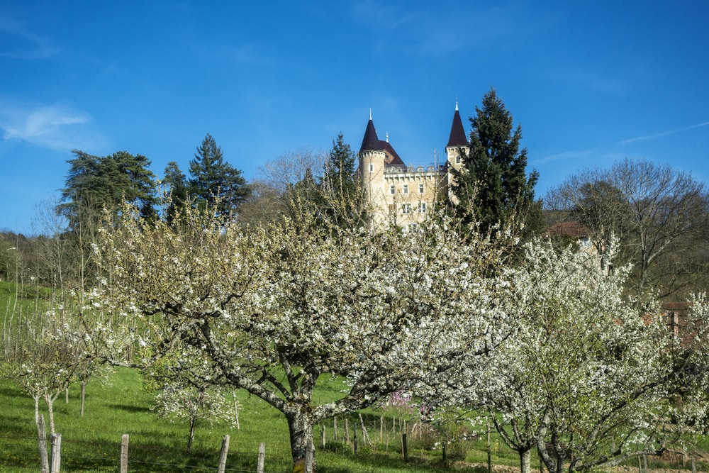 a building behind trees