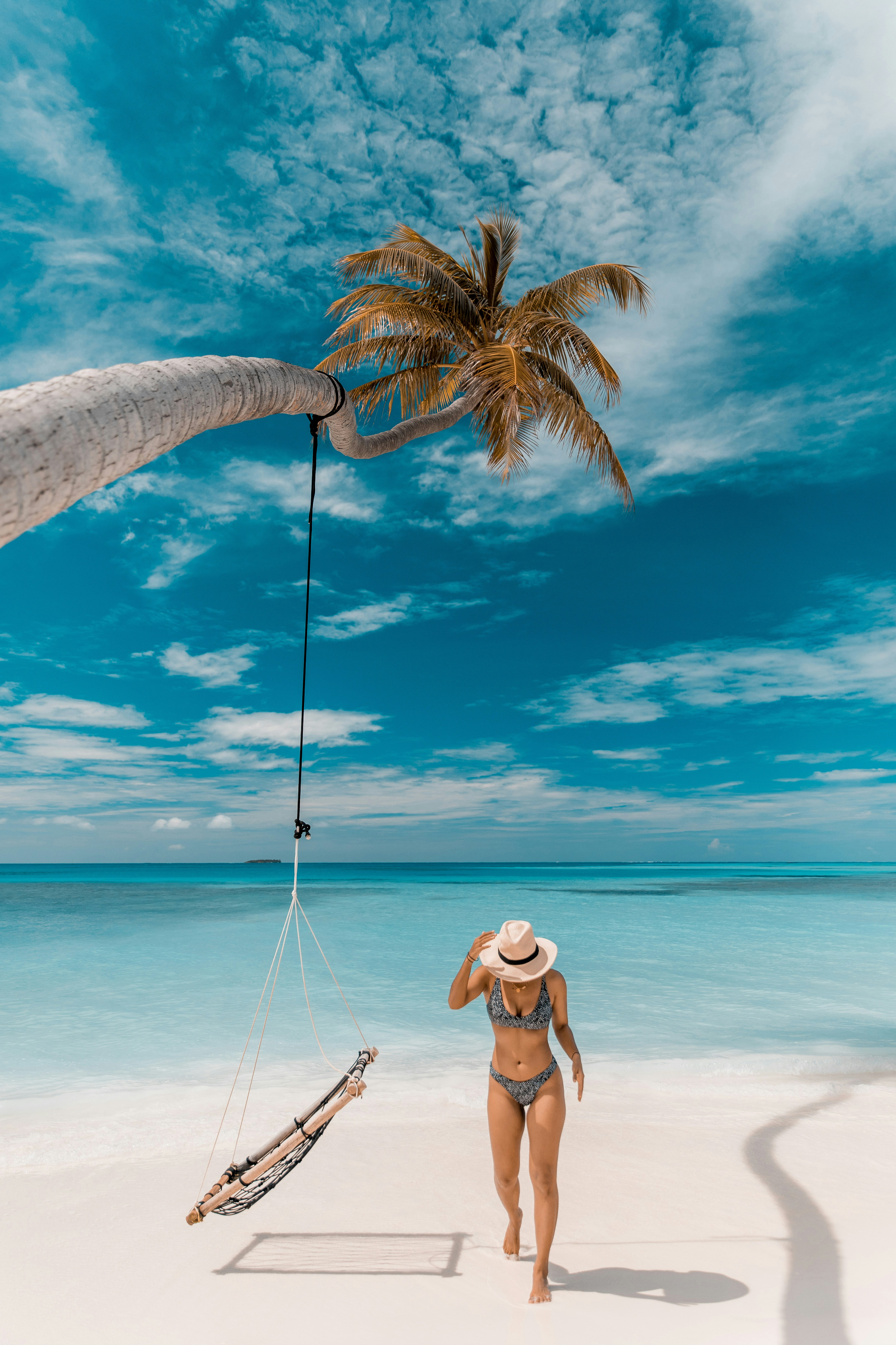 a person standing on a beach with a palm tree and a boat
