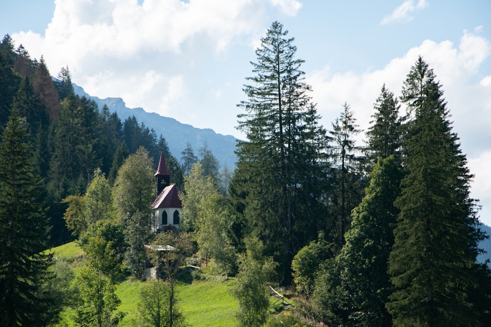 a building in the middle of a forest