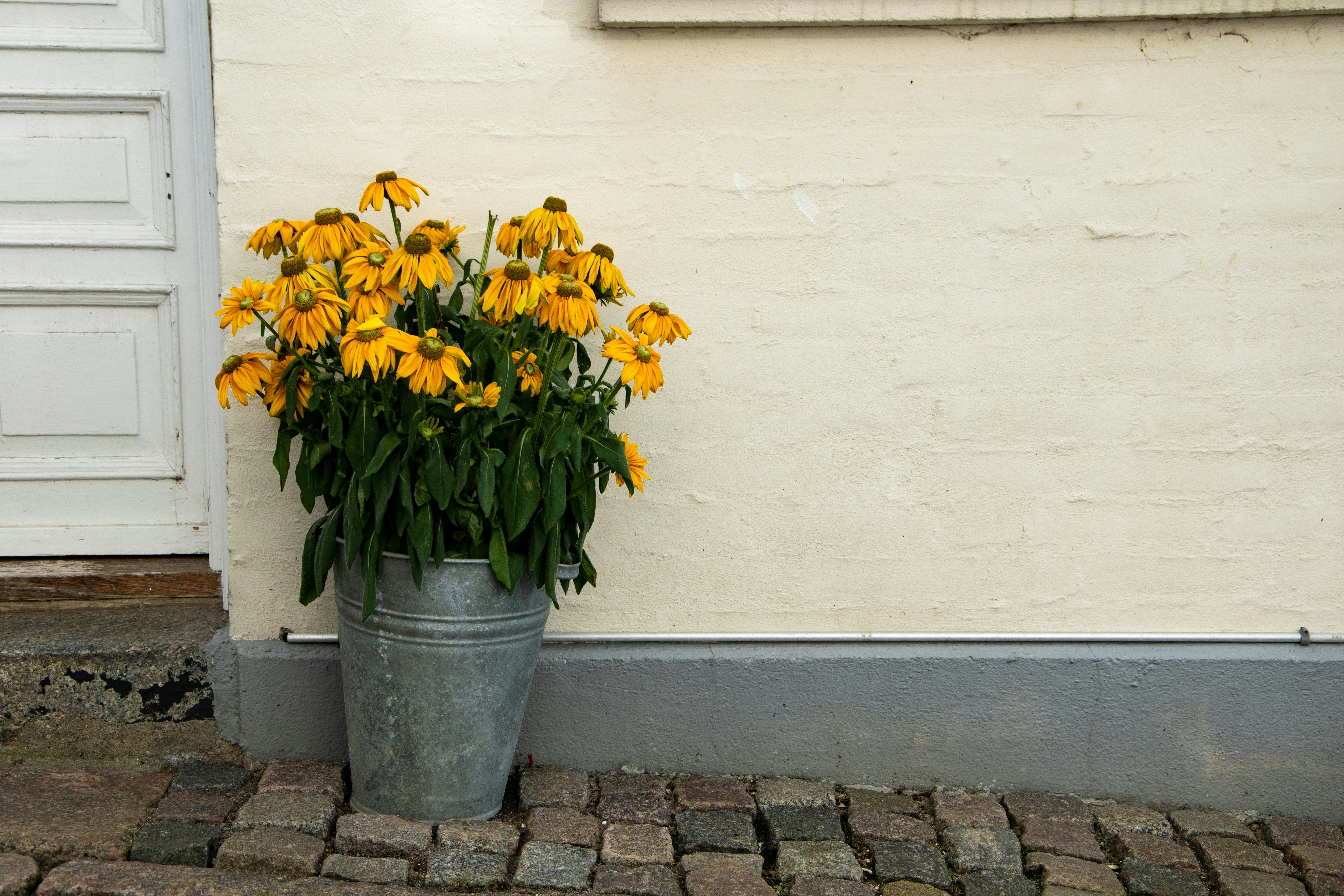 a vase of yellow flowers