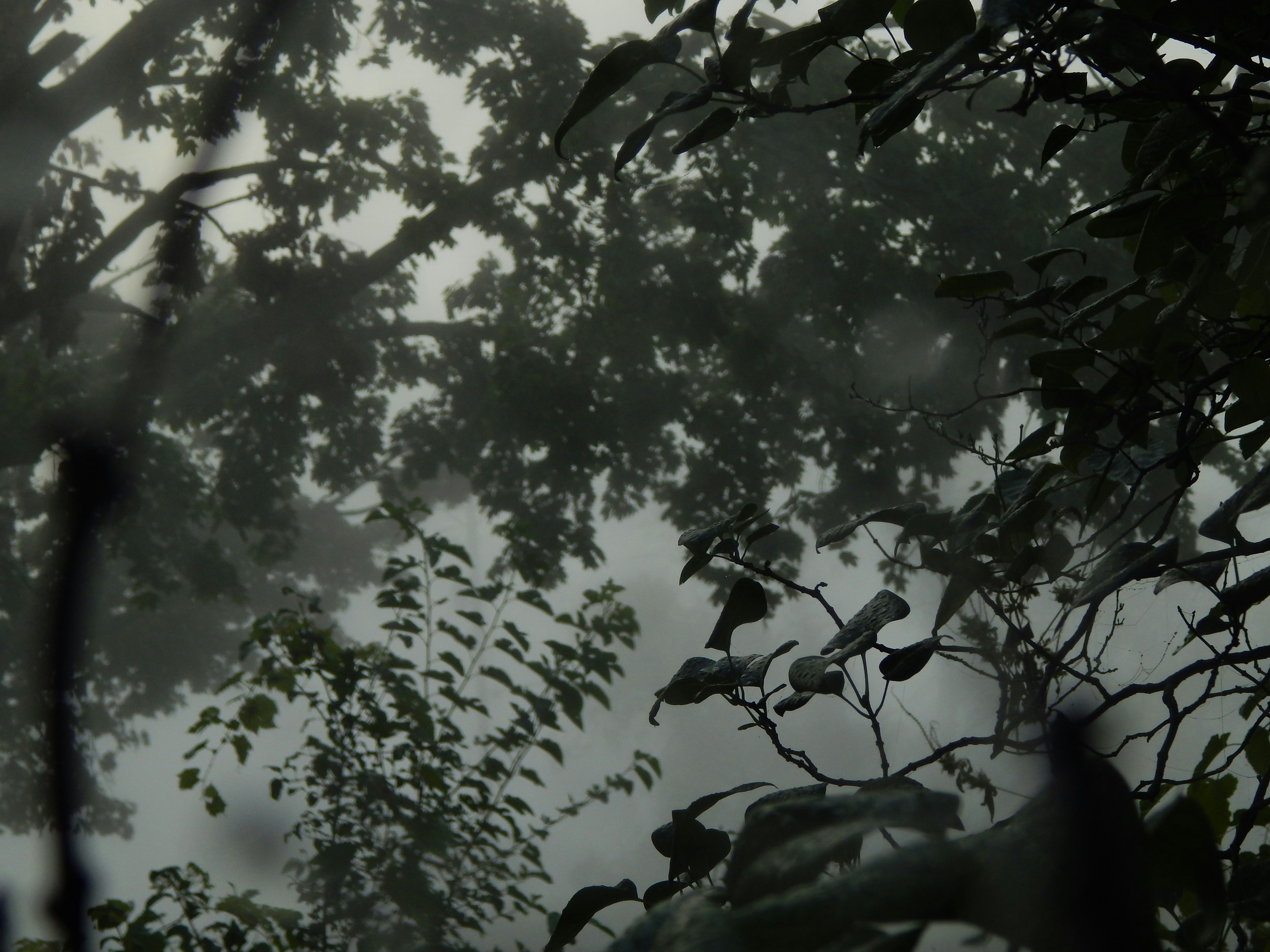 Photo by scarlettweiss