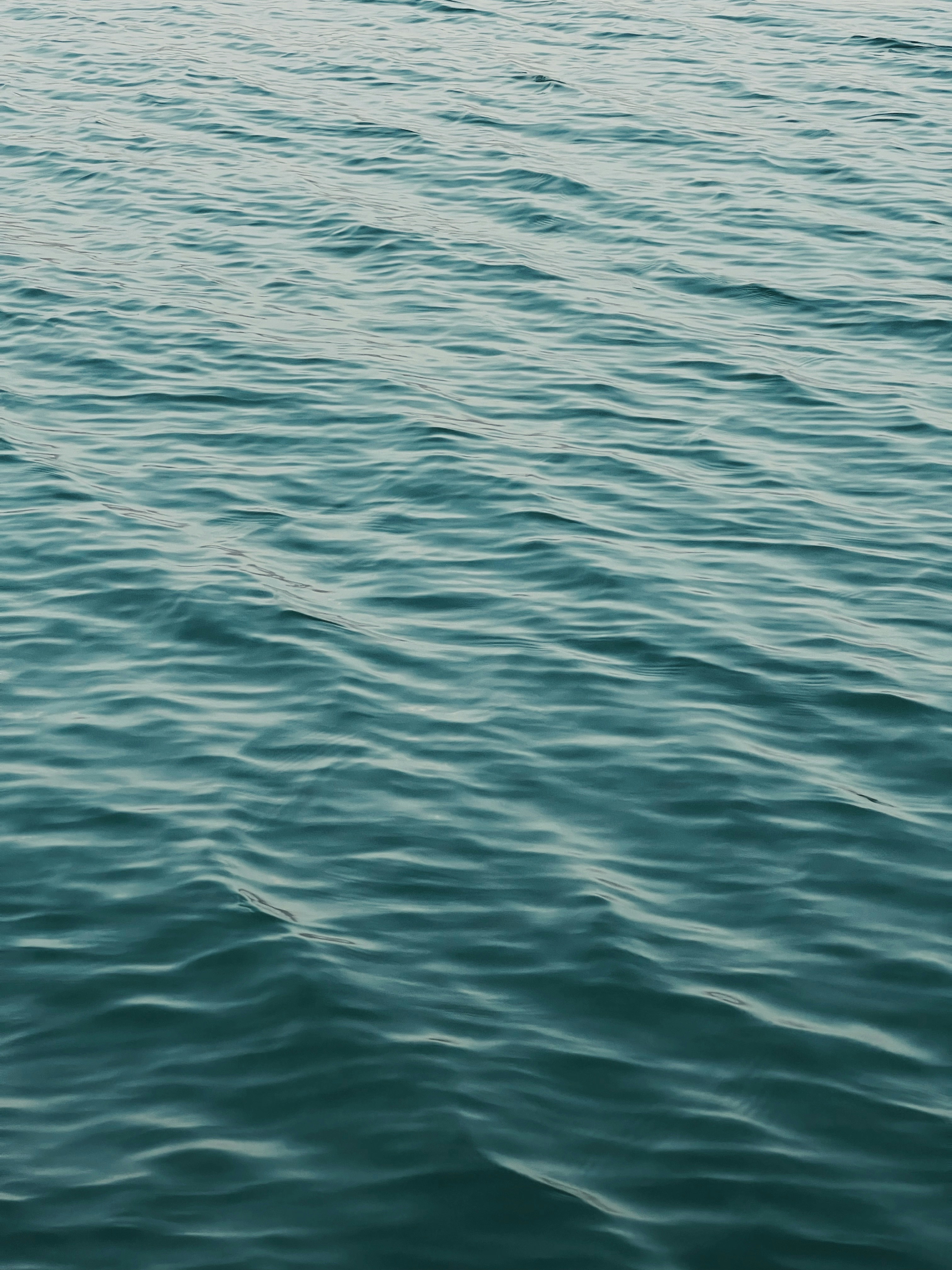 Photo by dastan_khdir