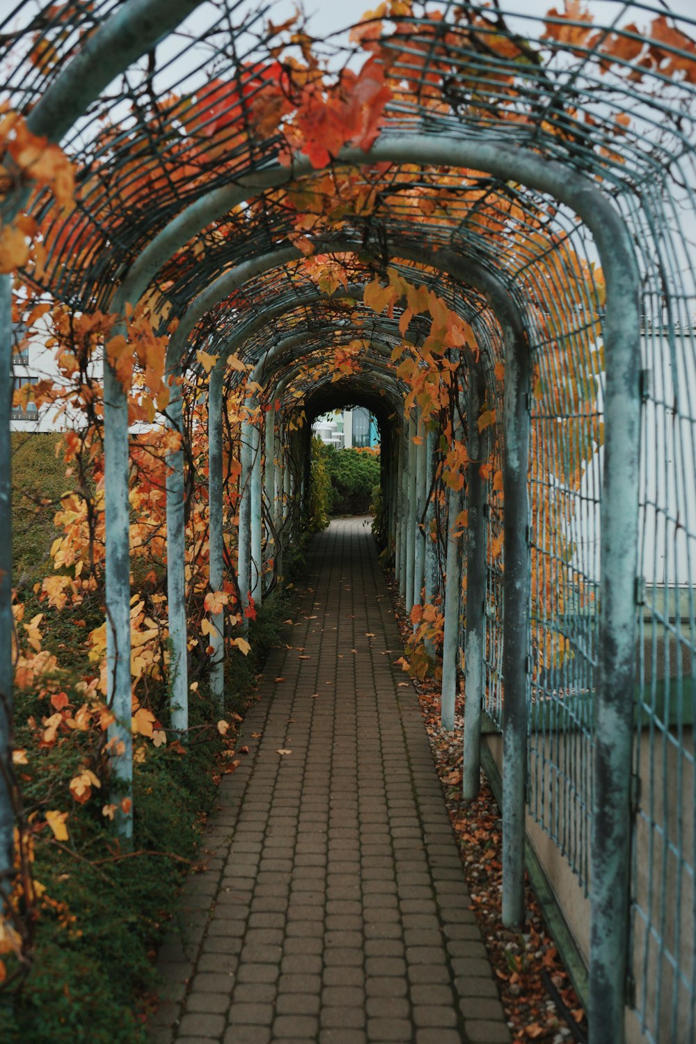 a walkway with a metal fence